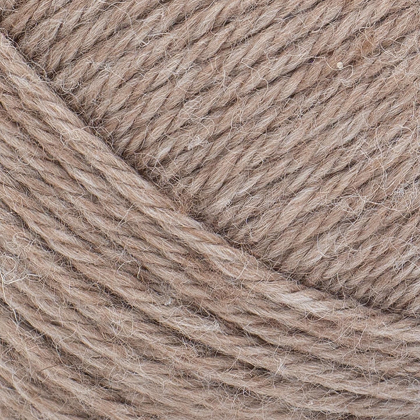 swatch__Hazelwood