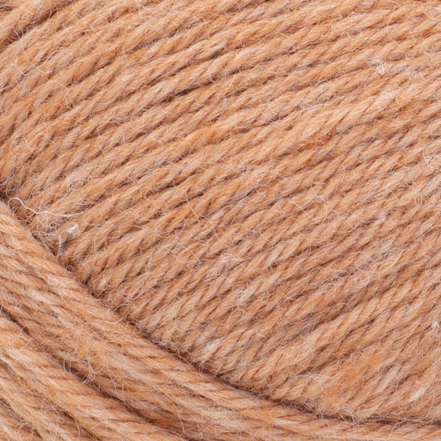 swatch__Spice