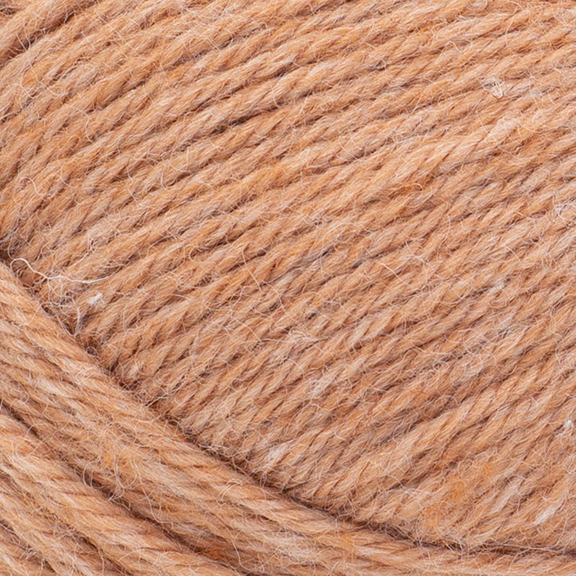 swatch__Spice