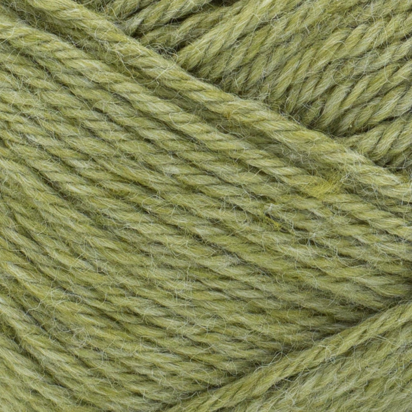 swatch__Olive Branch
