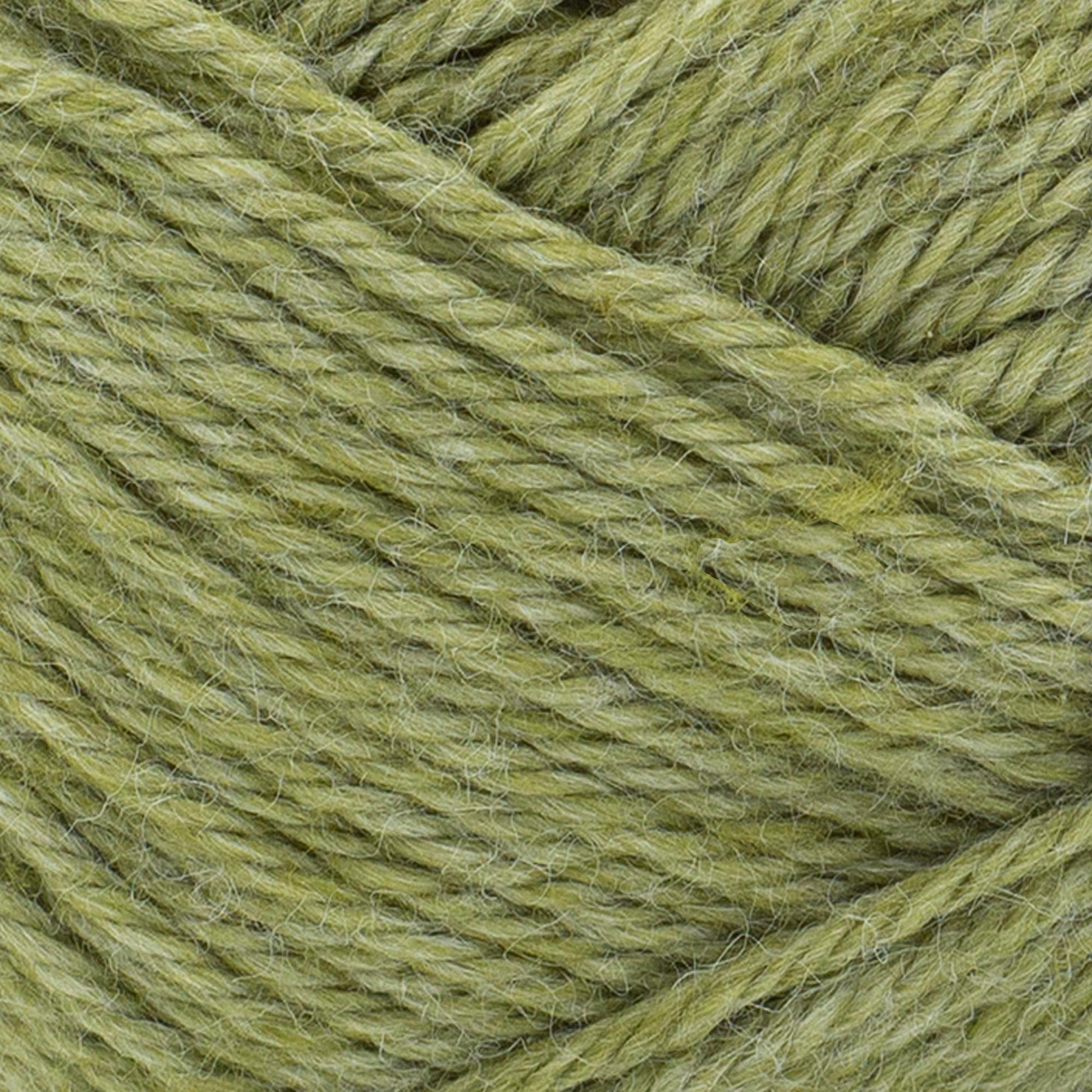 swatch__Olive Branch