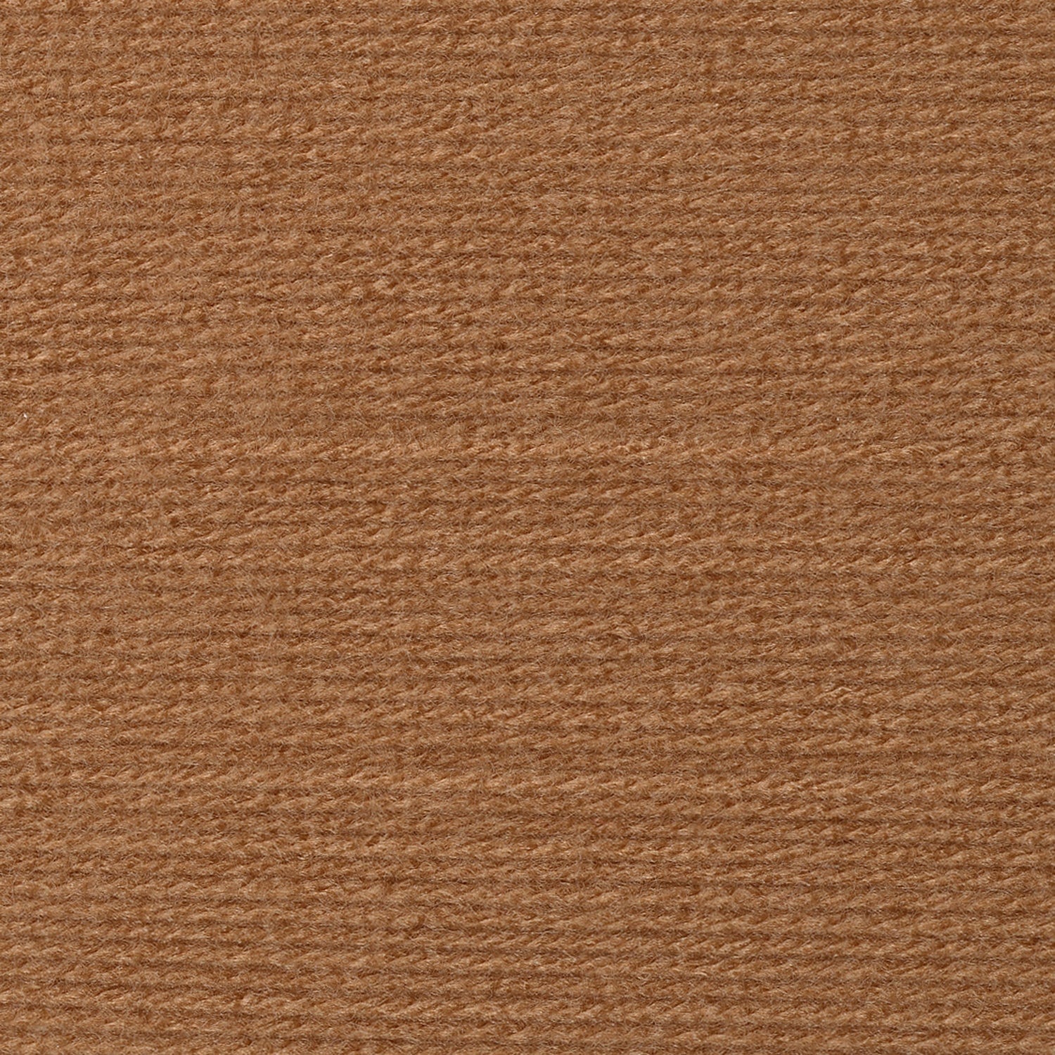 swatch__Camel