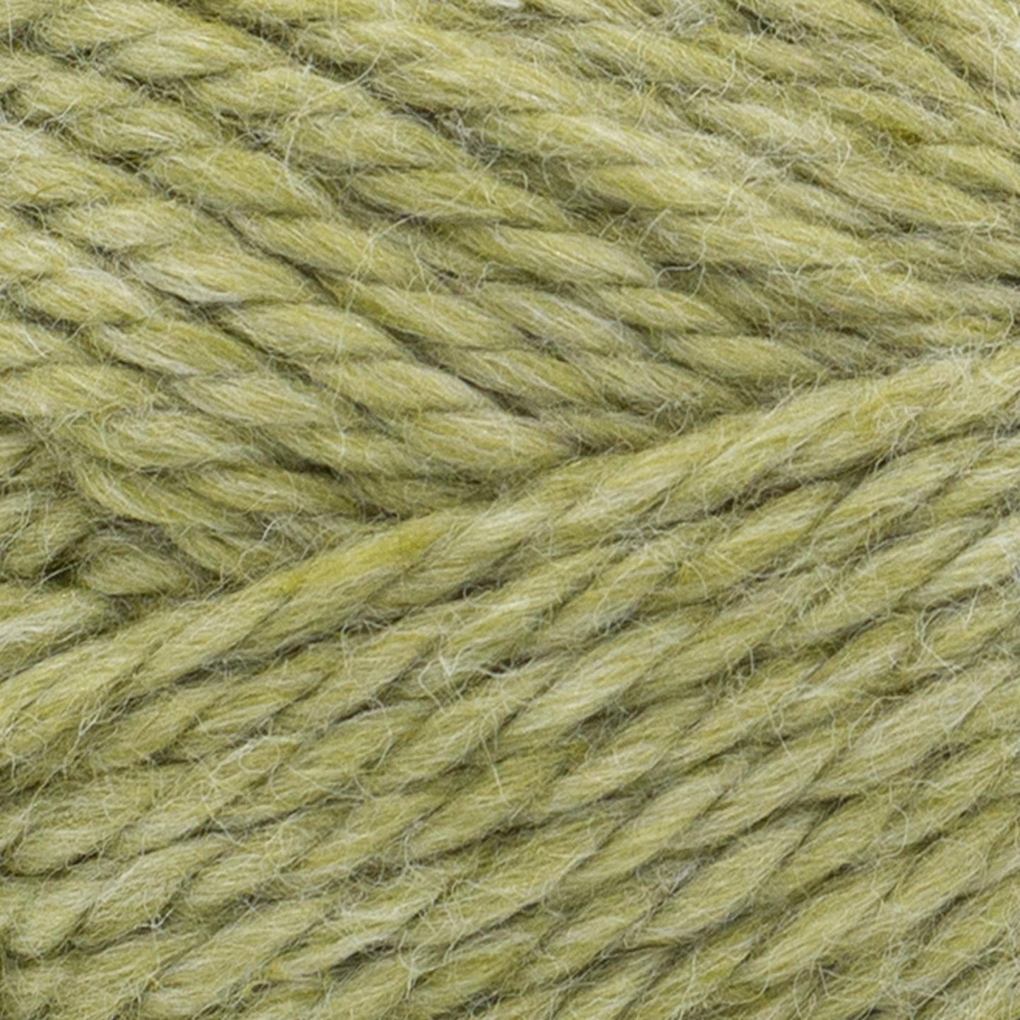 swatch__Olive Branch