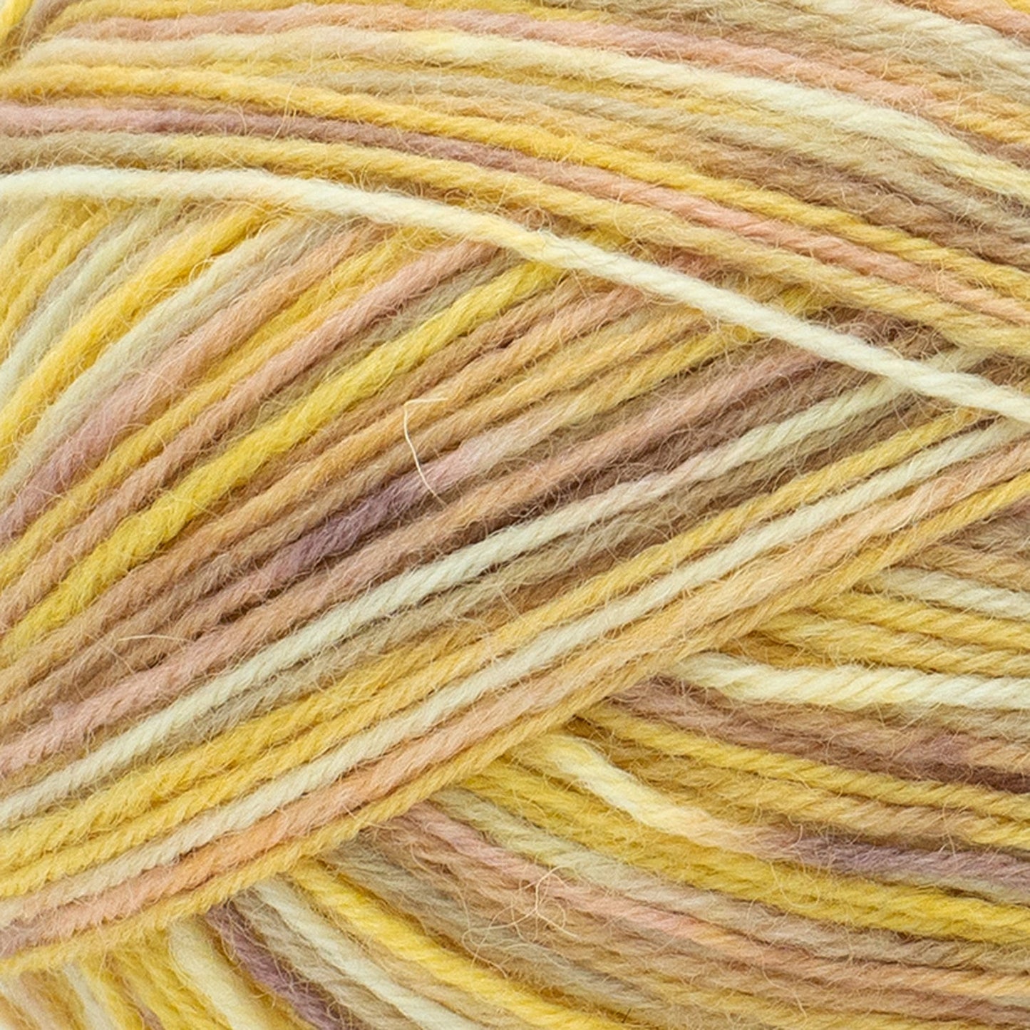 swatch__Bee's Knees