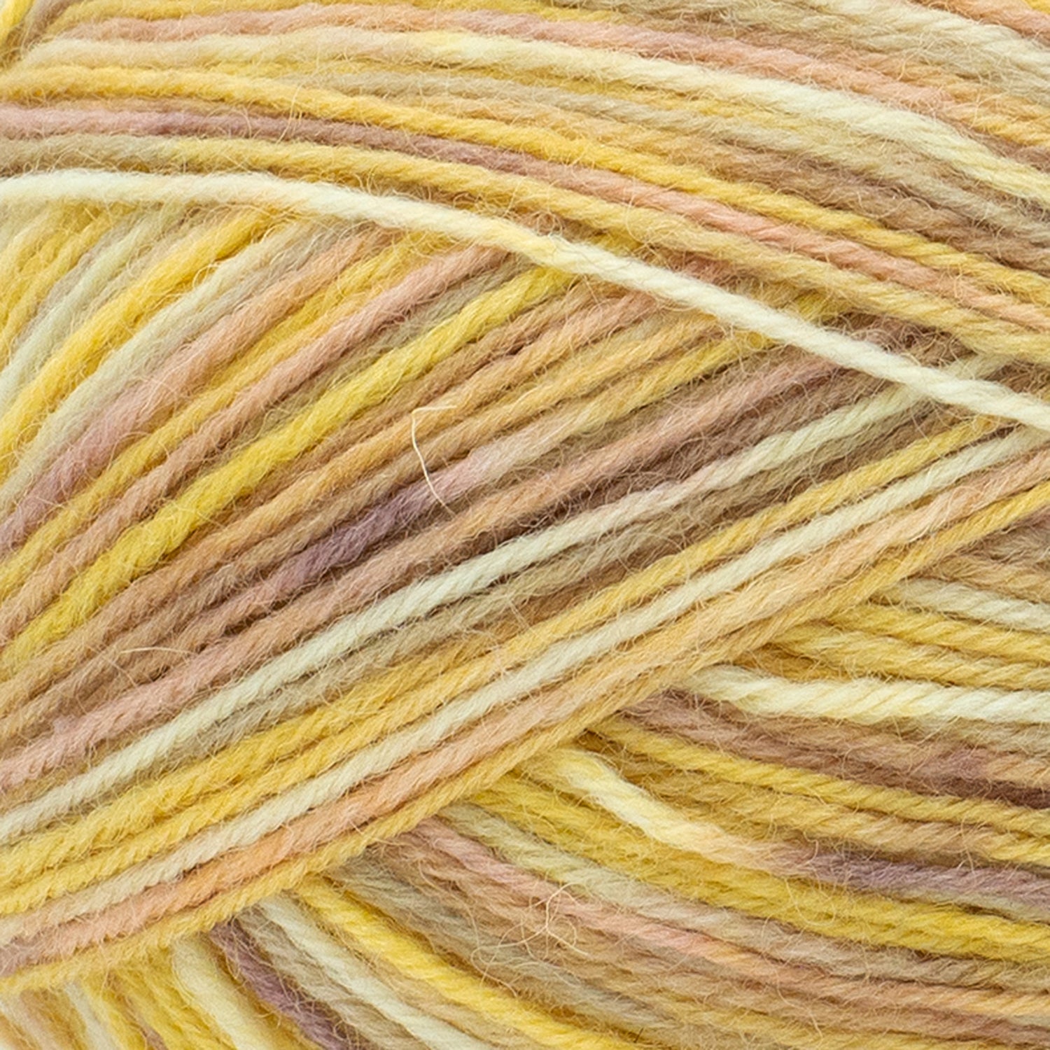 swatch__Bee's Knees