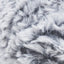 Chinchilla