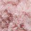 Pink Poodle