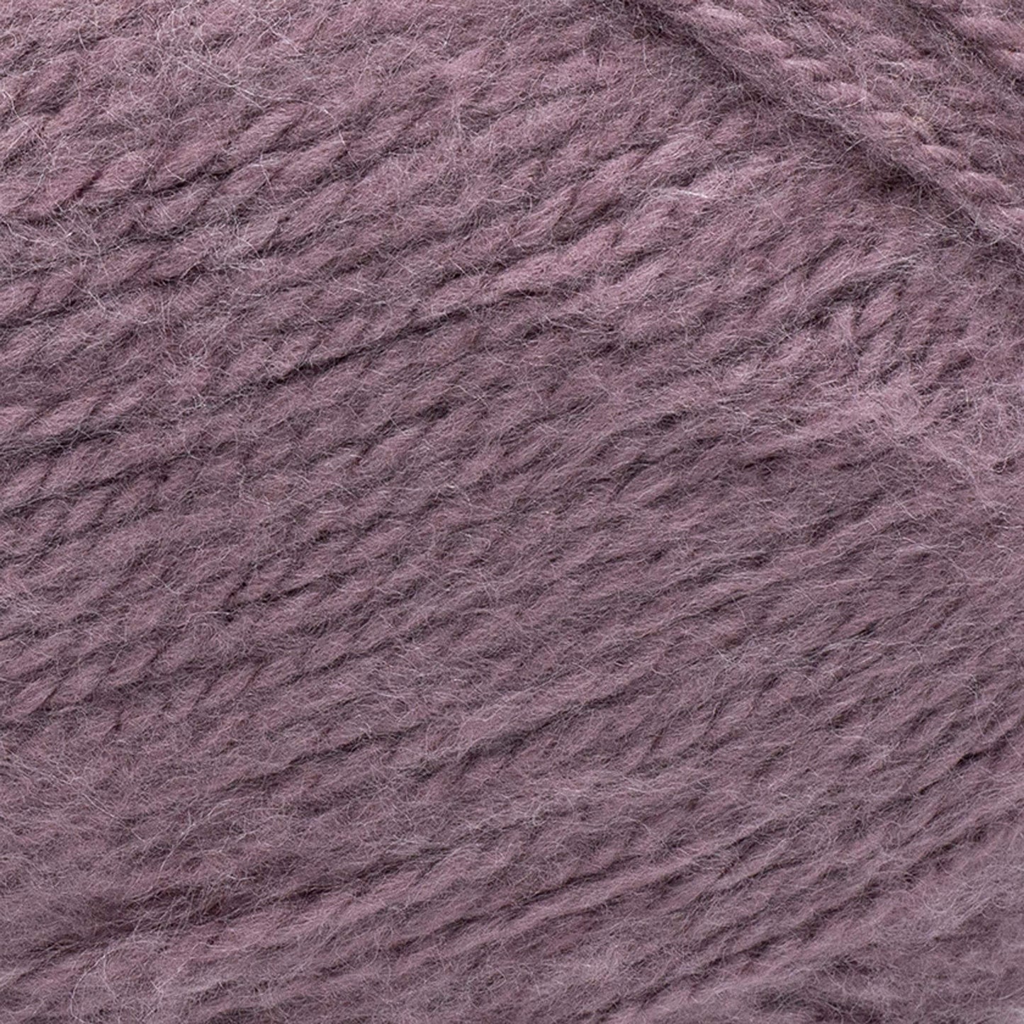 swatch__Plum