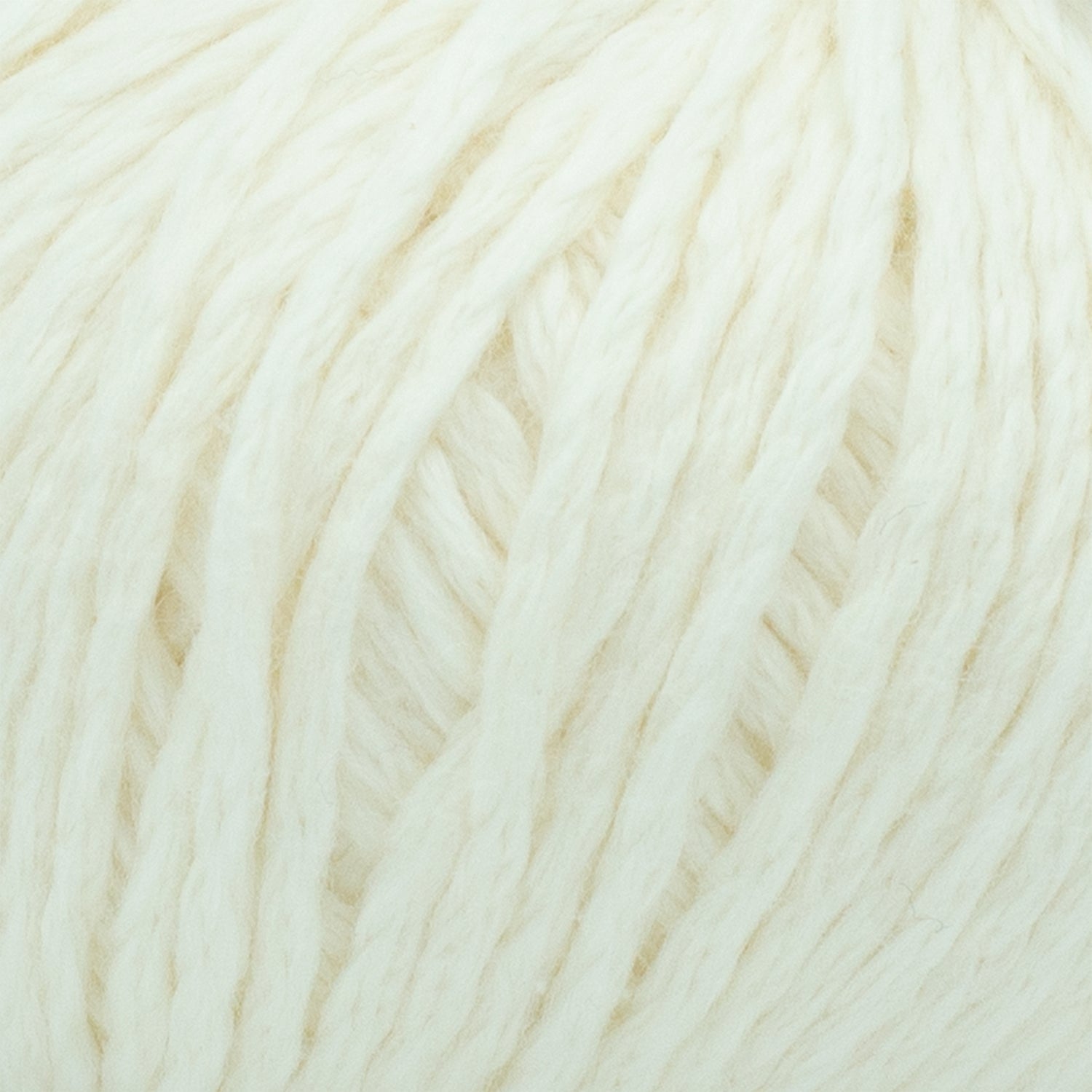 swatch__Cream