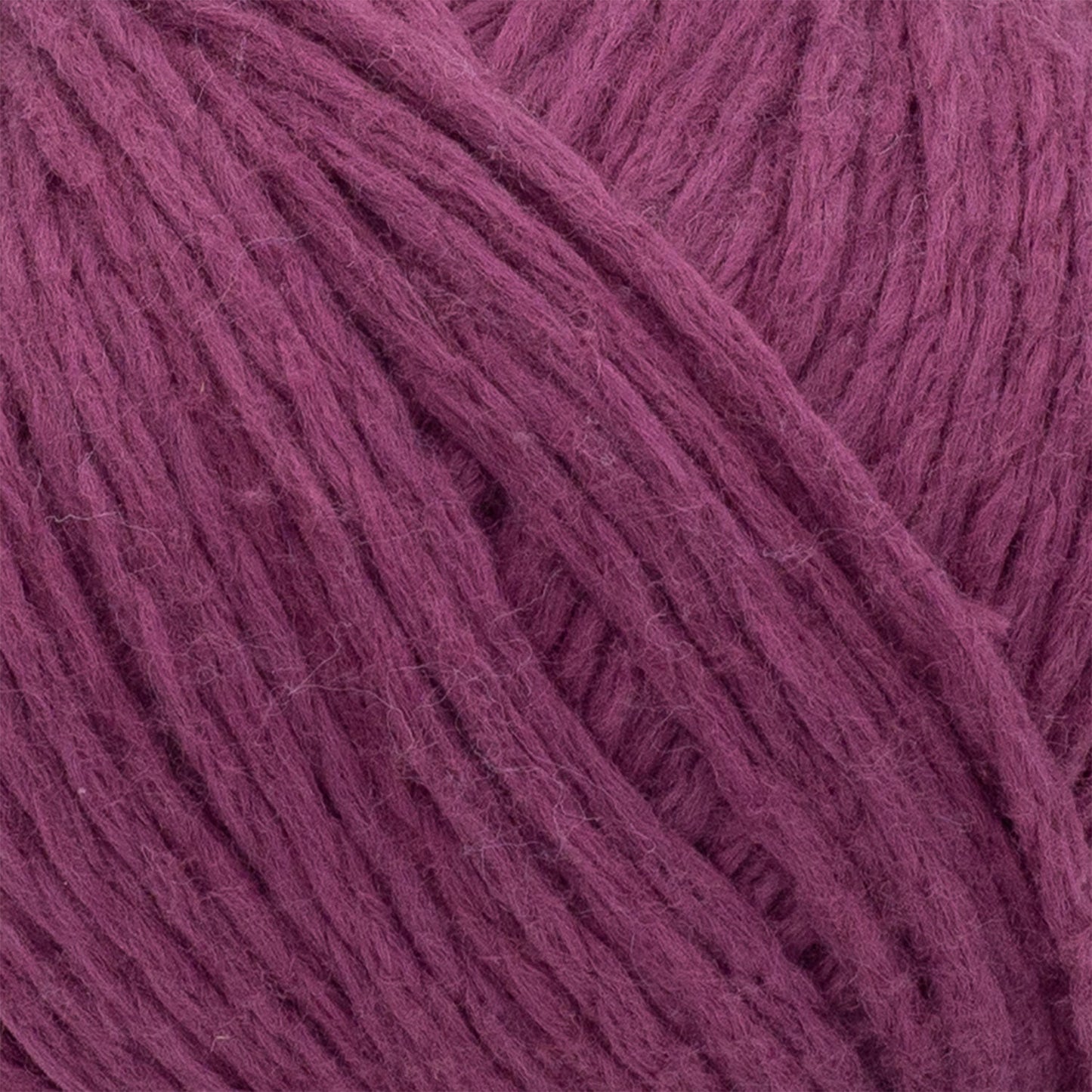 swatch__Rosebud