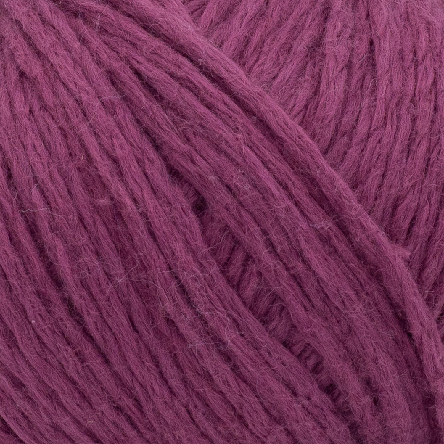 swatch__Rosebud