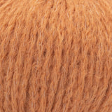 swatch__Spice thumbnail