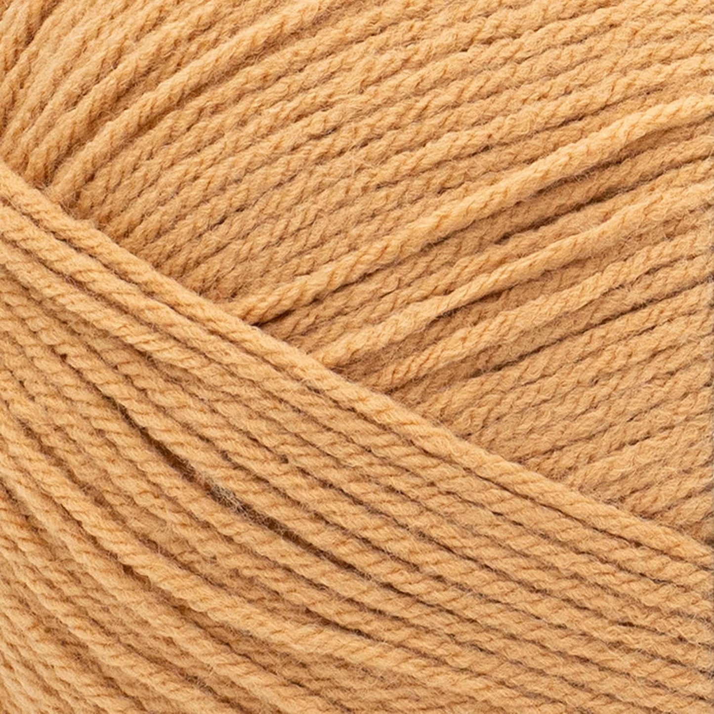 swatch__Pumpkin Pie