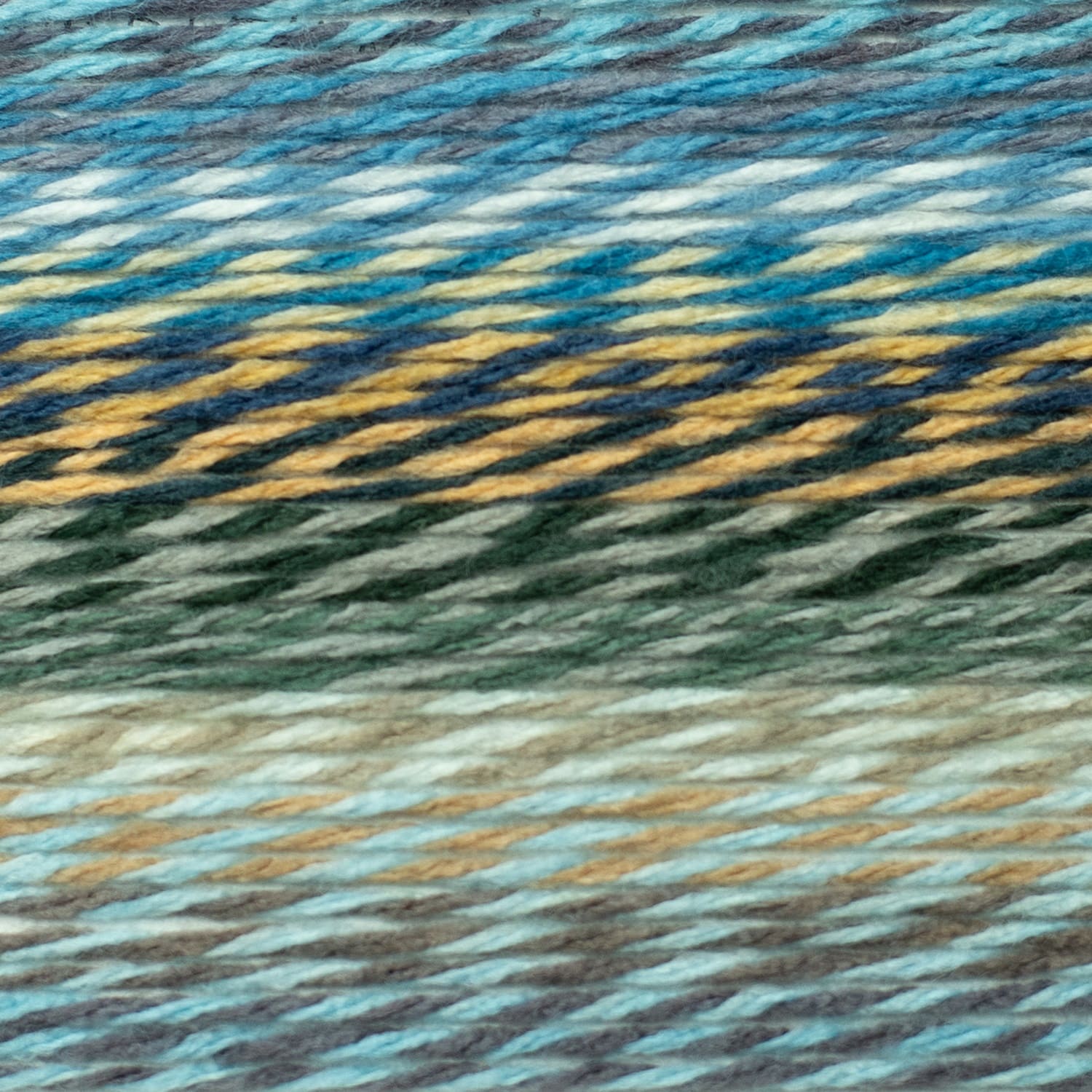 swatch__Dragonfly