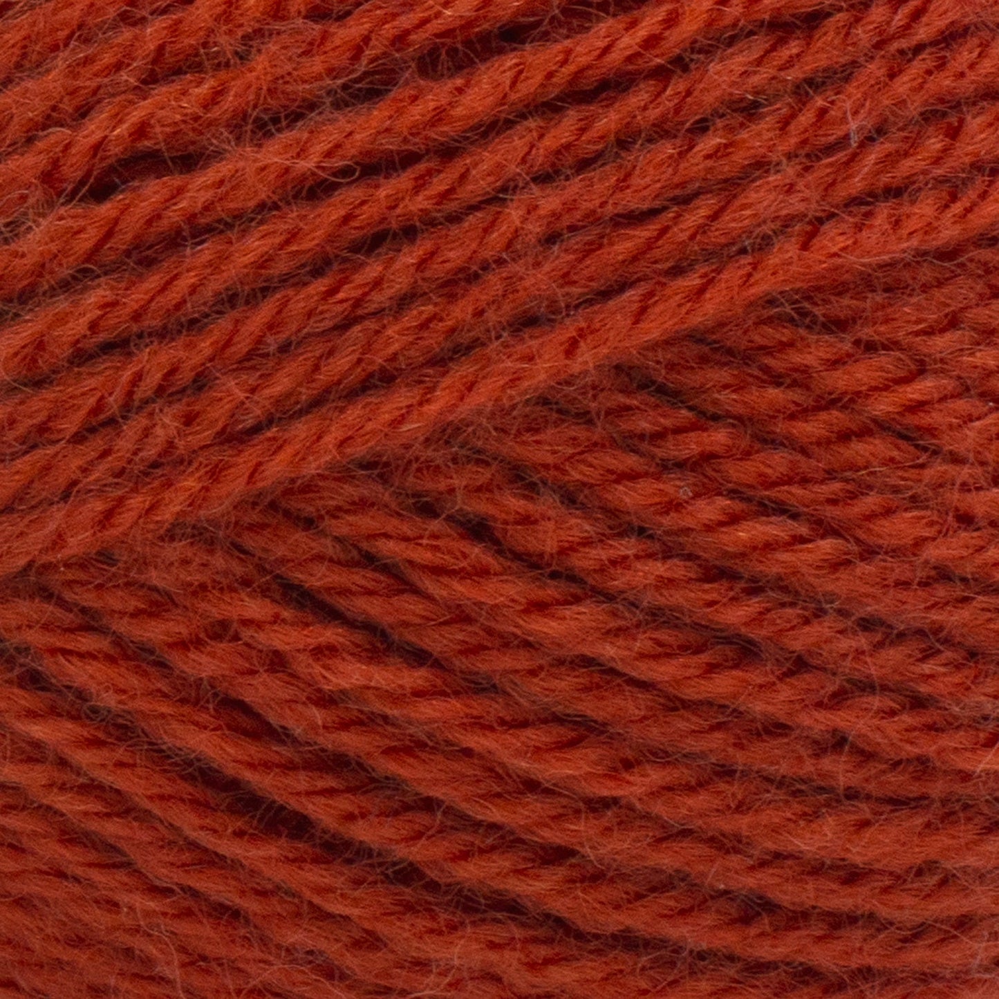 swatch__Koi