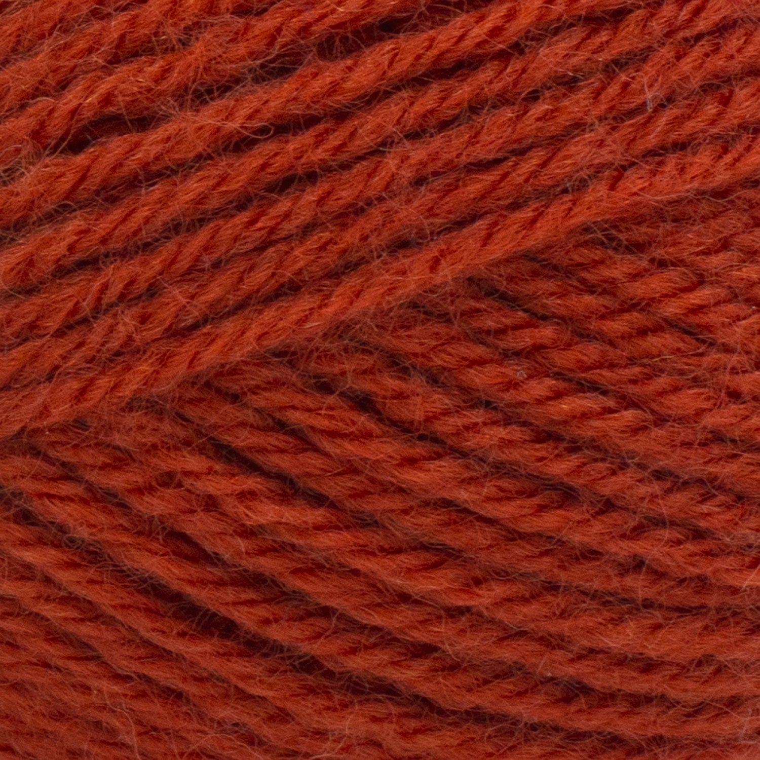 swatch__Koi