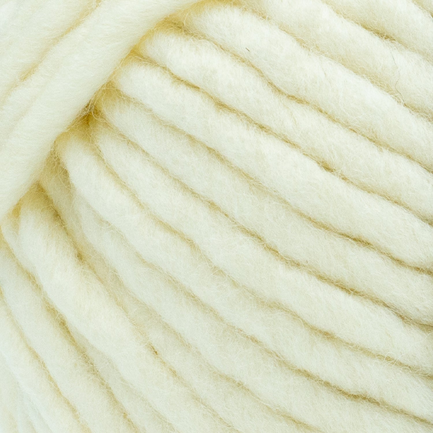 swatch__Cream
