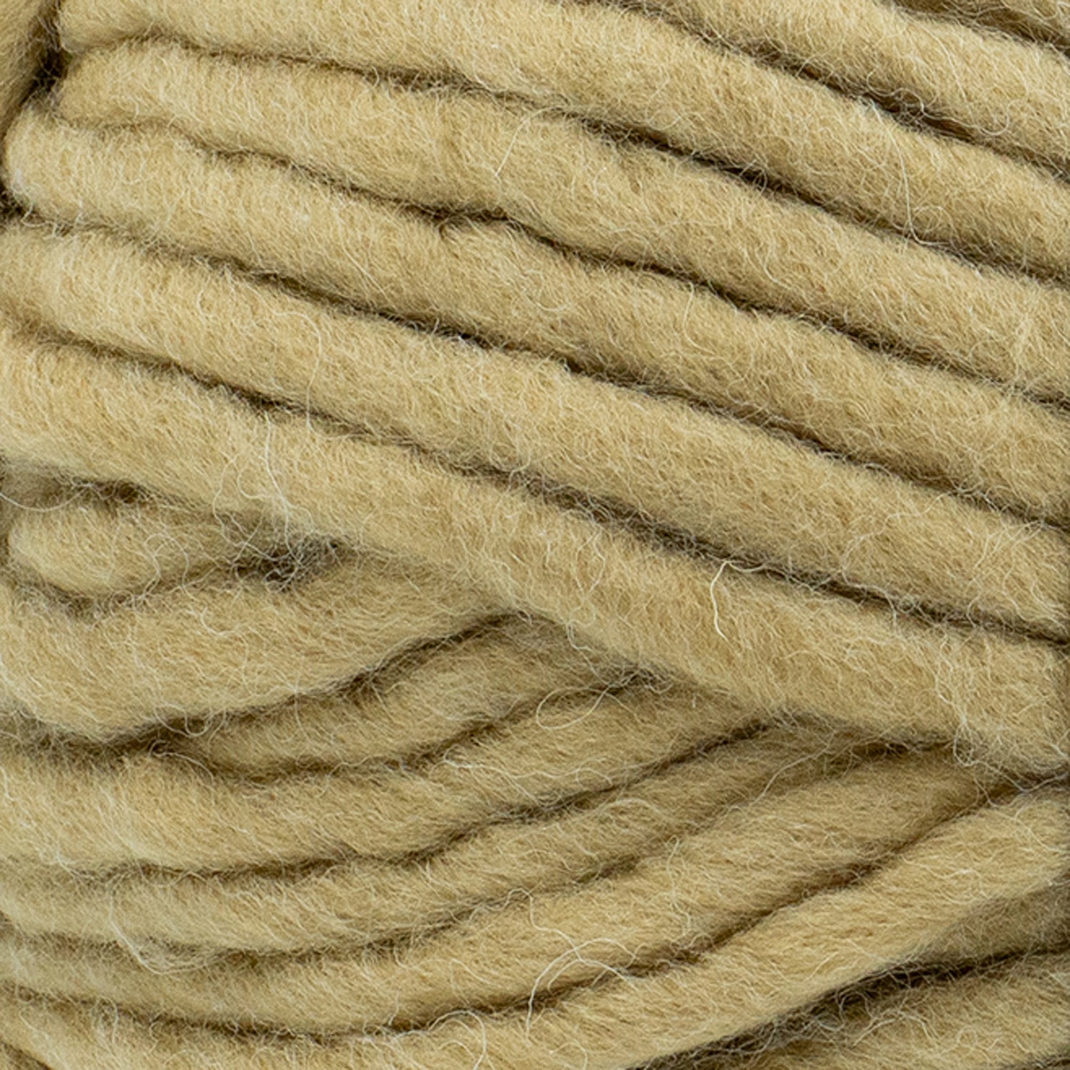 swatch__Hazelnut