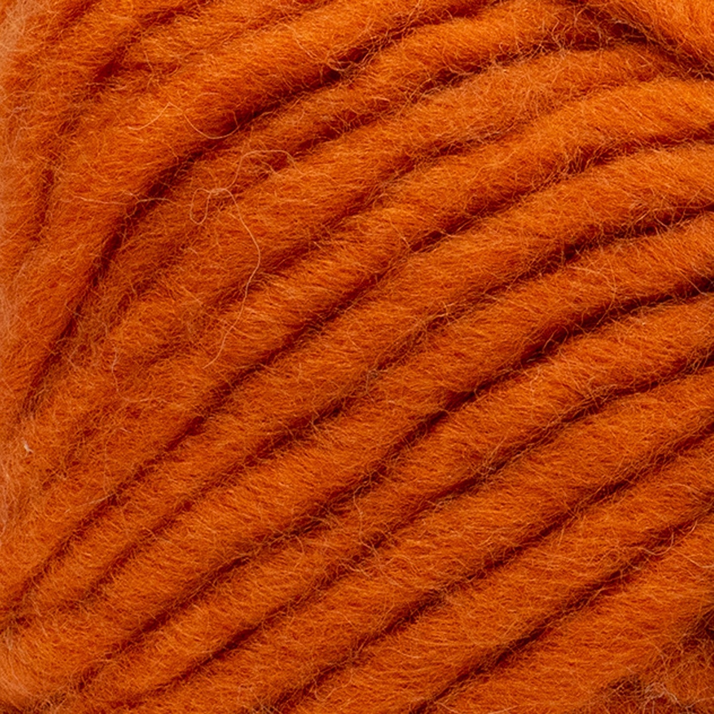 swatch__Persimmon