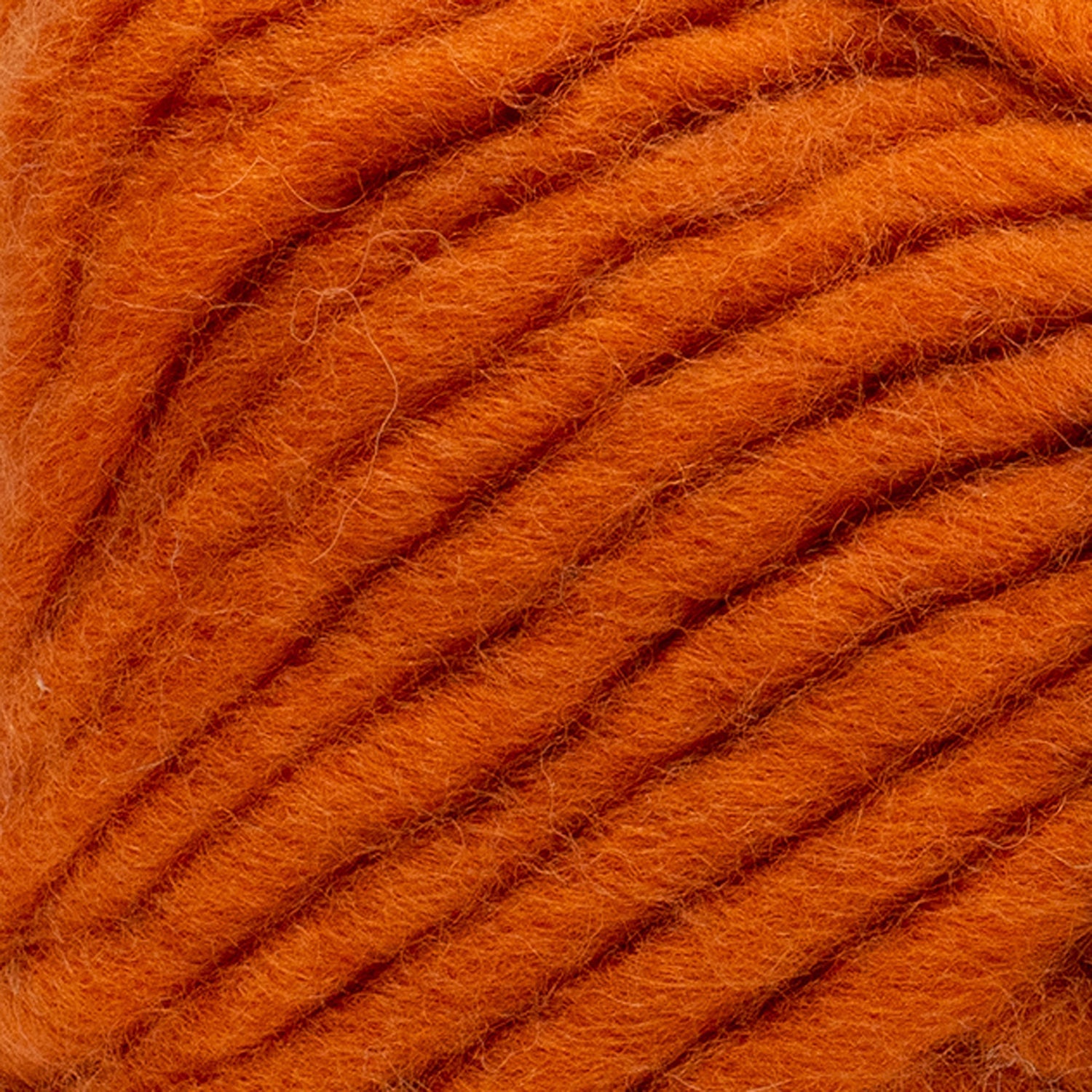 swatch__Persimmon