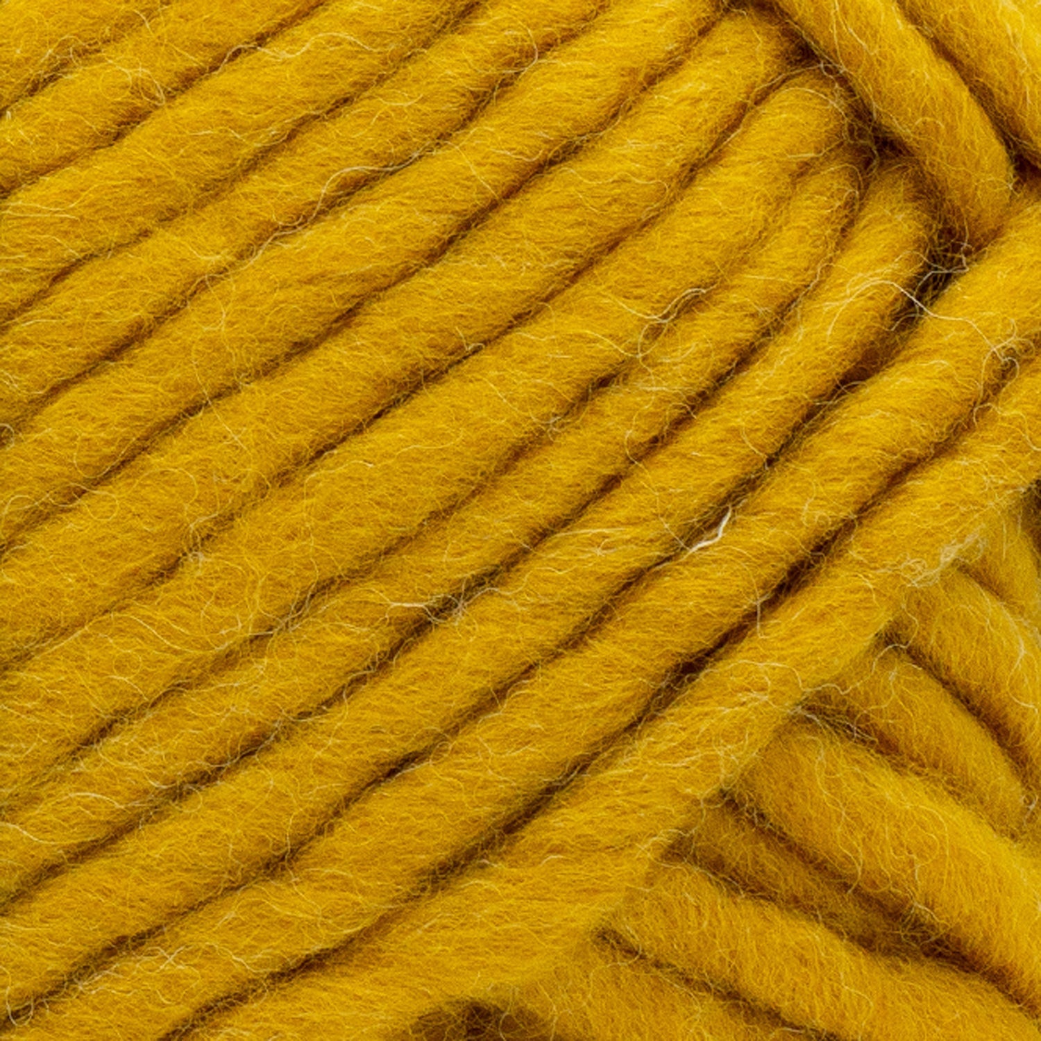 swatch__Mustard