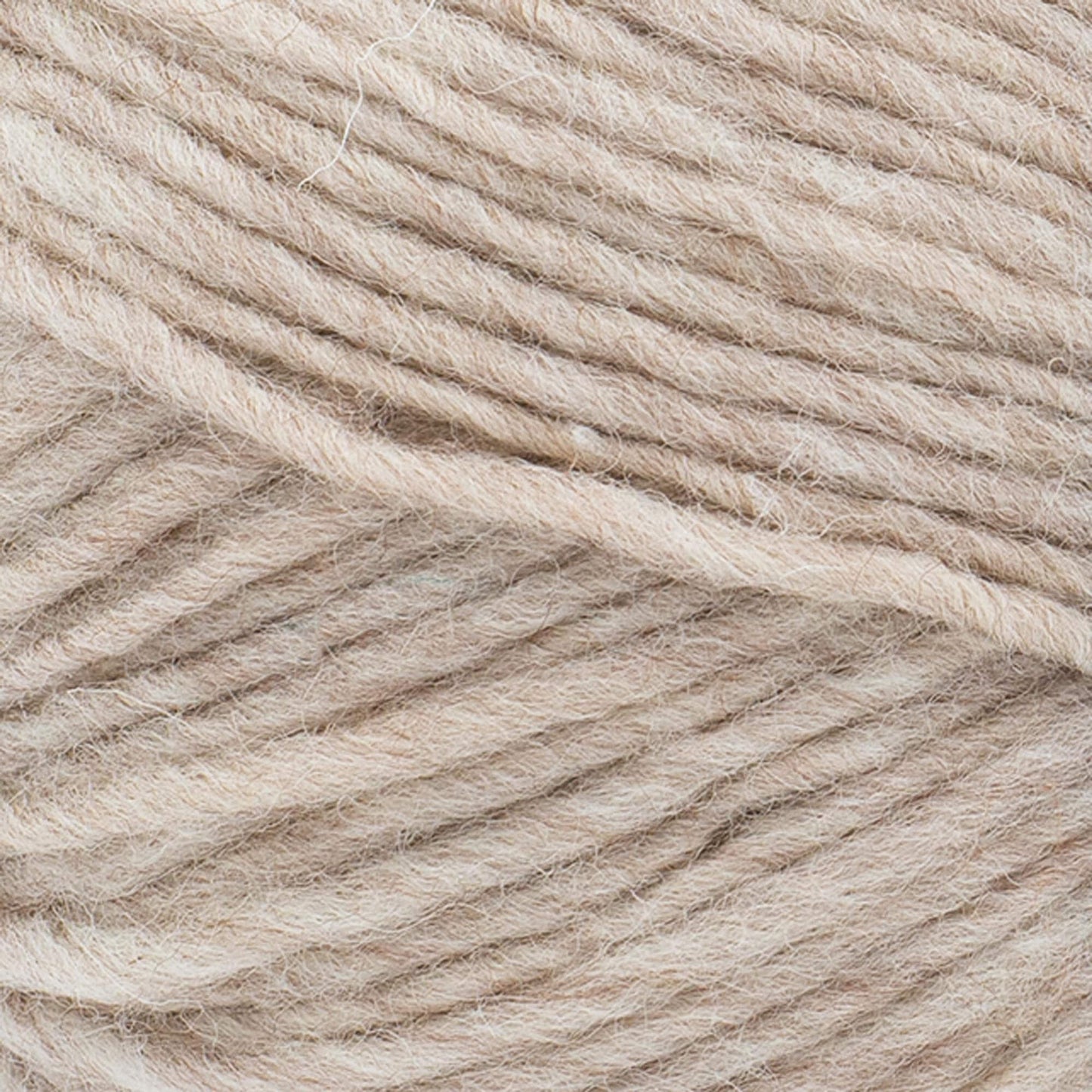 swatch__Latte