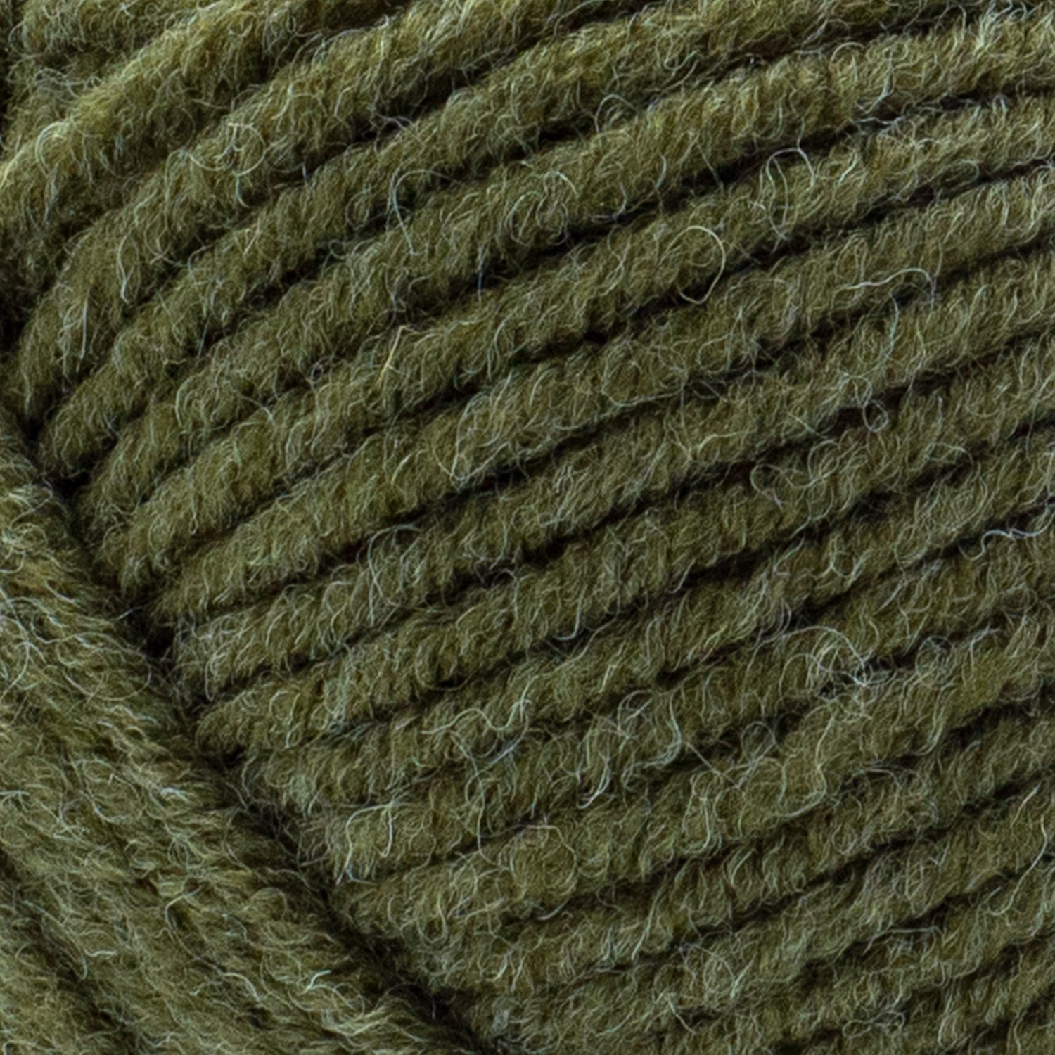 swatch__Olive
