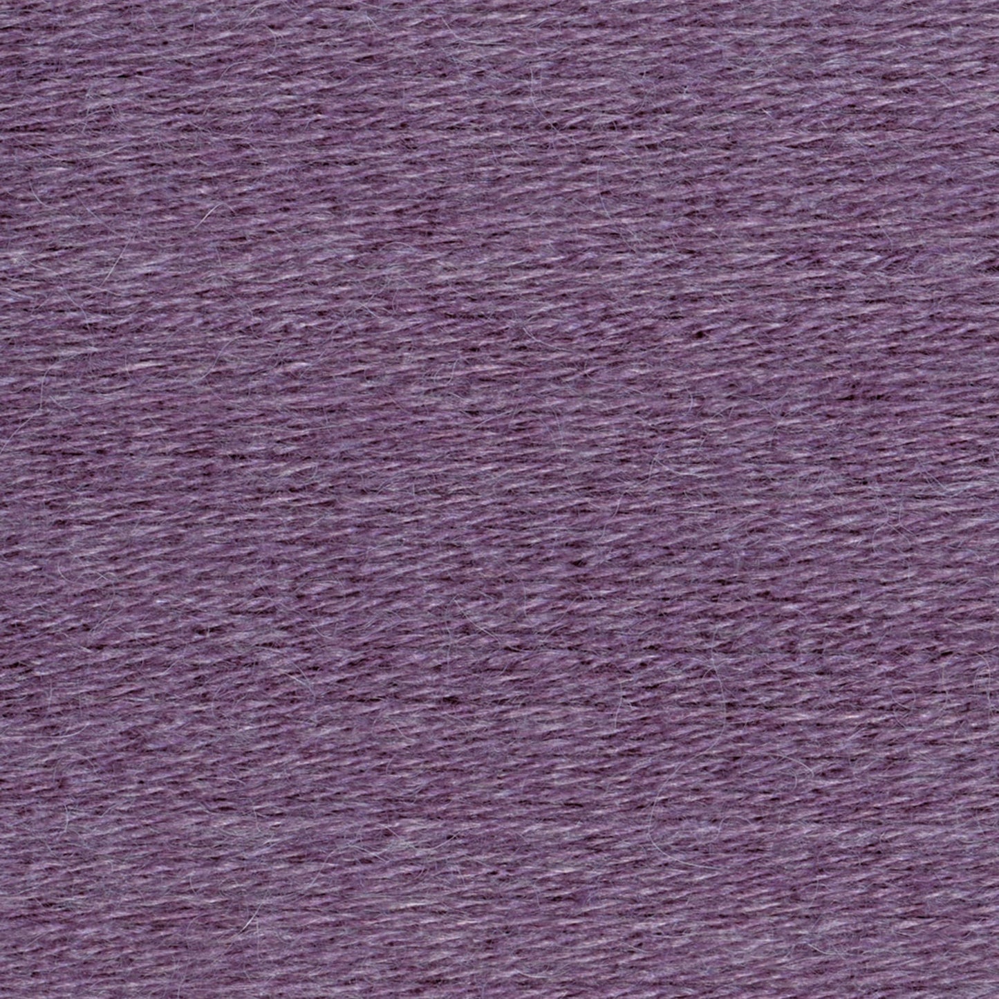 swatch__Purple Aster