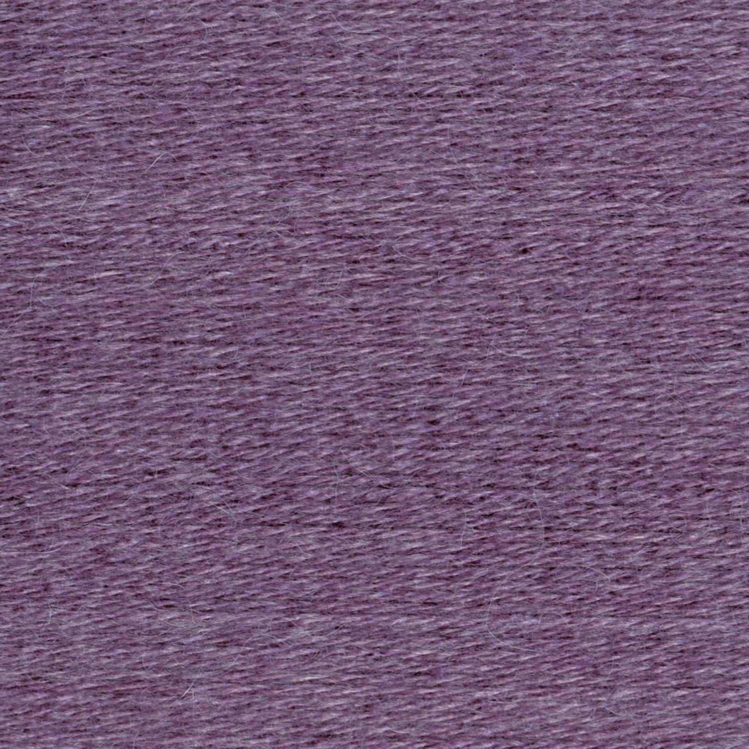 swatch__Purple Aster