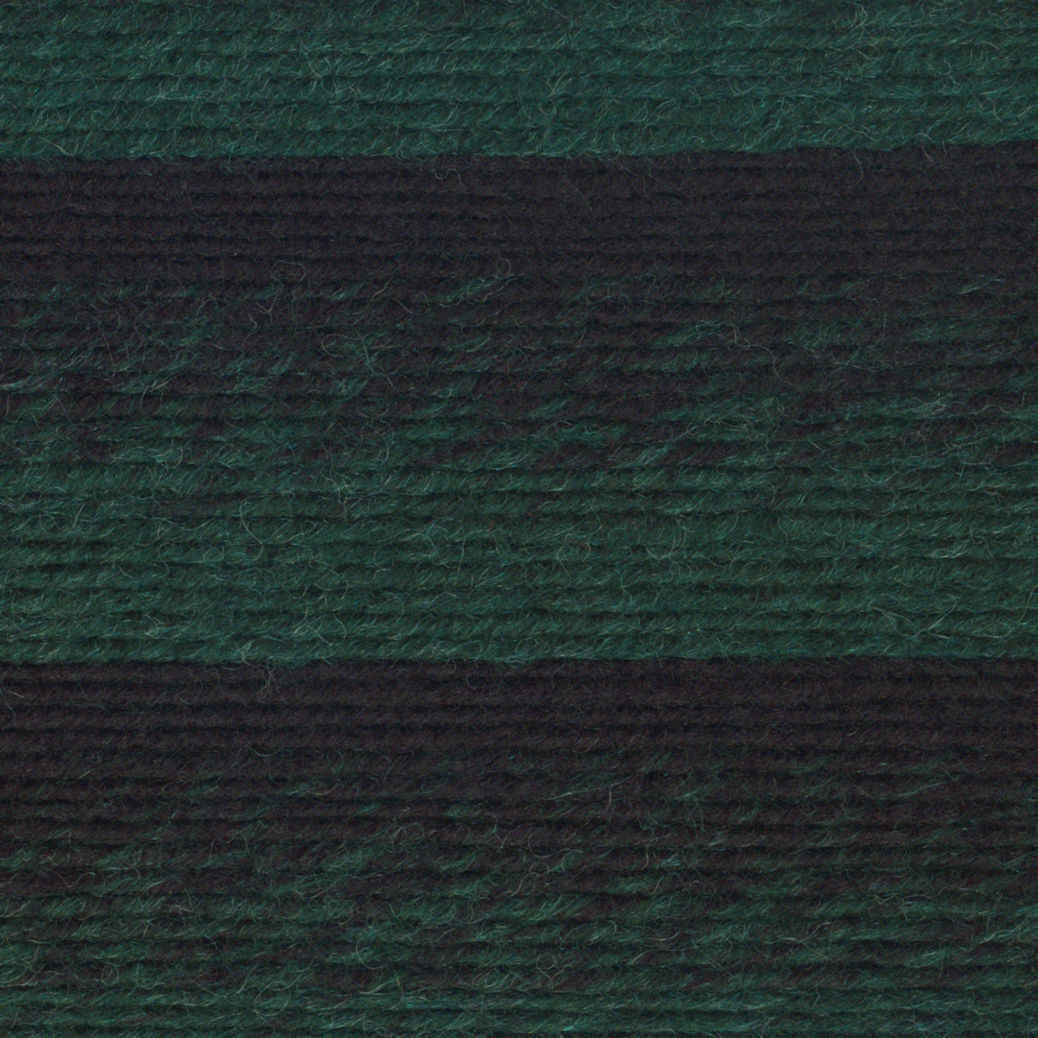 swatch__Forest/Black