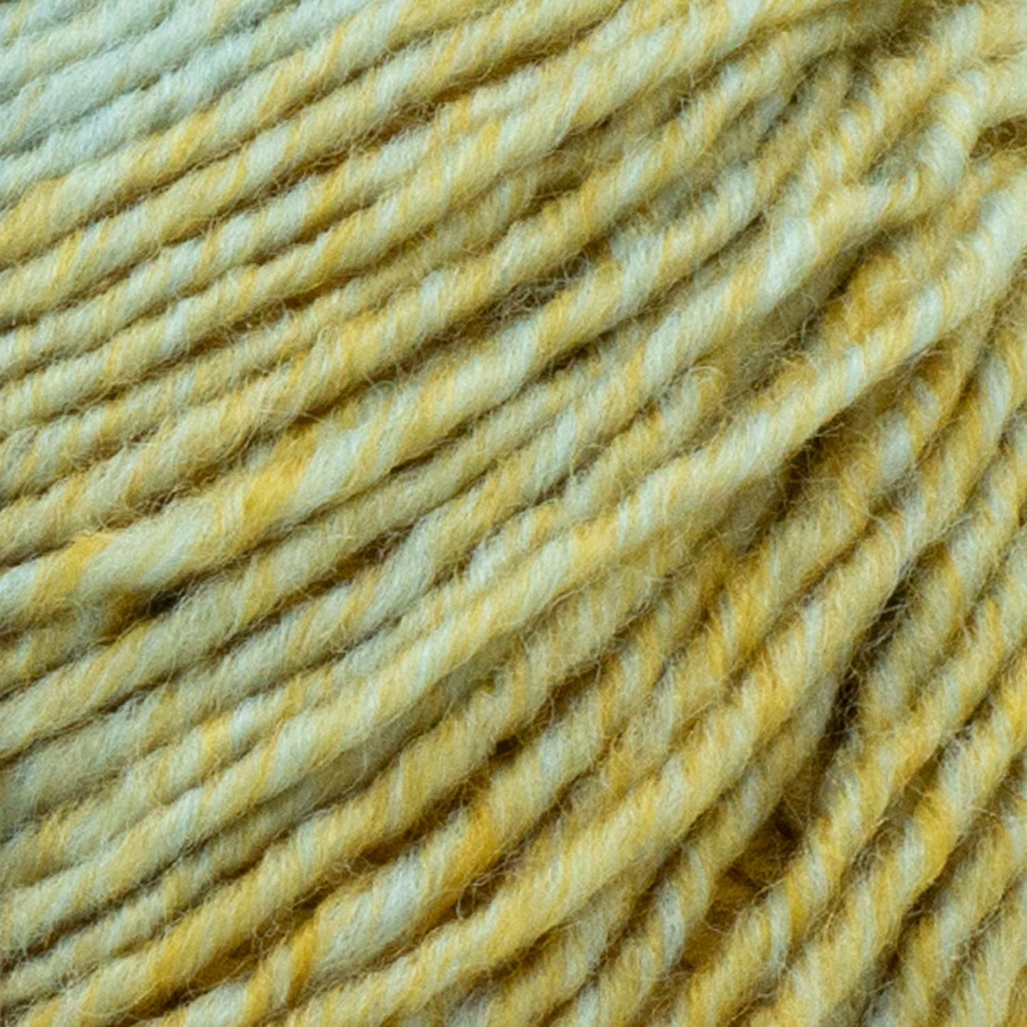 swatch__Ice/Gold