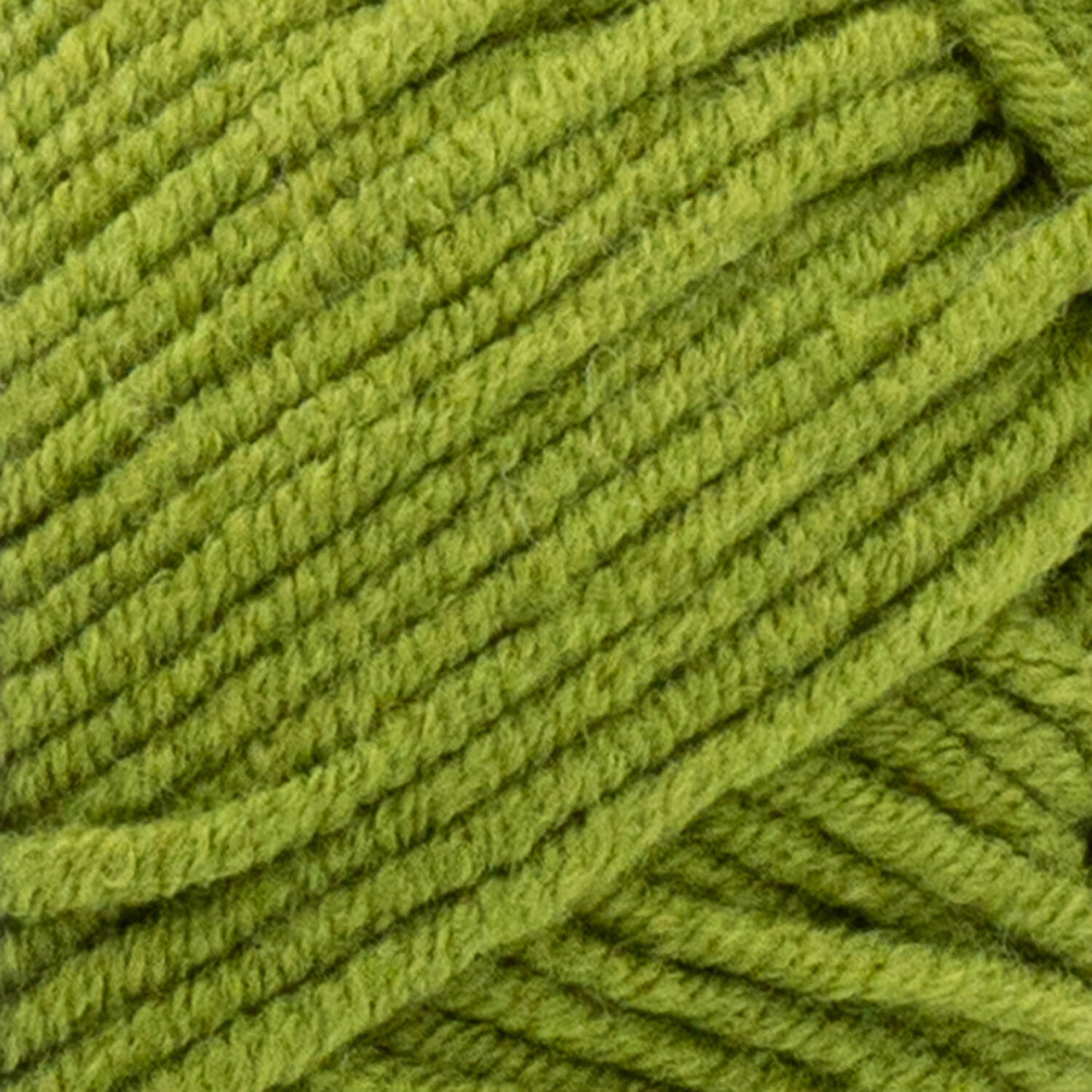 swatch__Bay Leaf