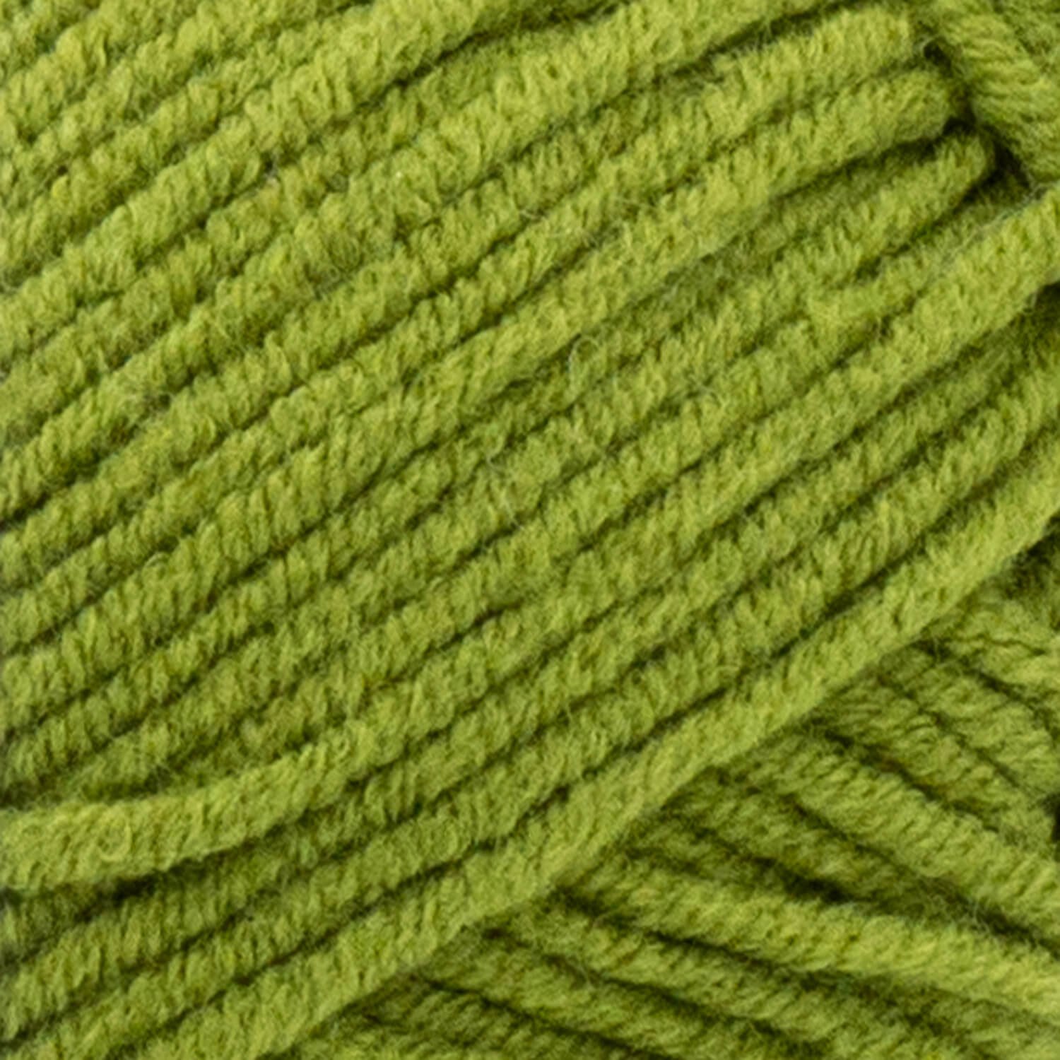 swatch__Bay Leaf