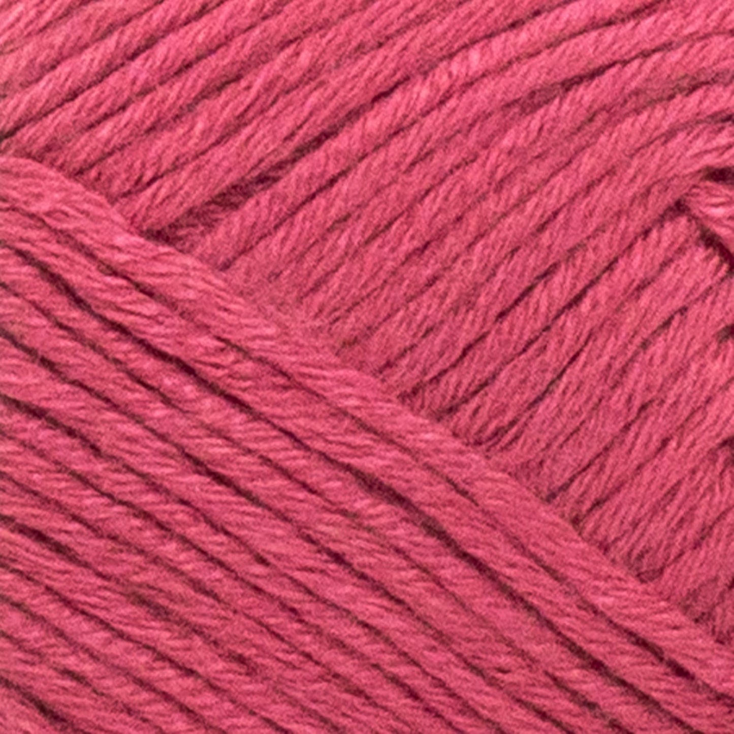 swatch__Rose