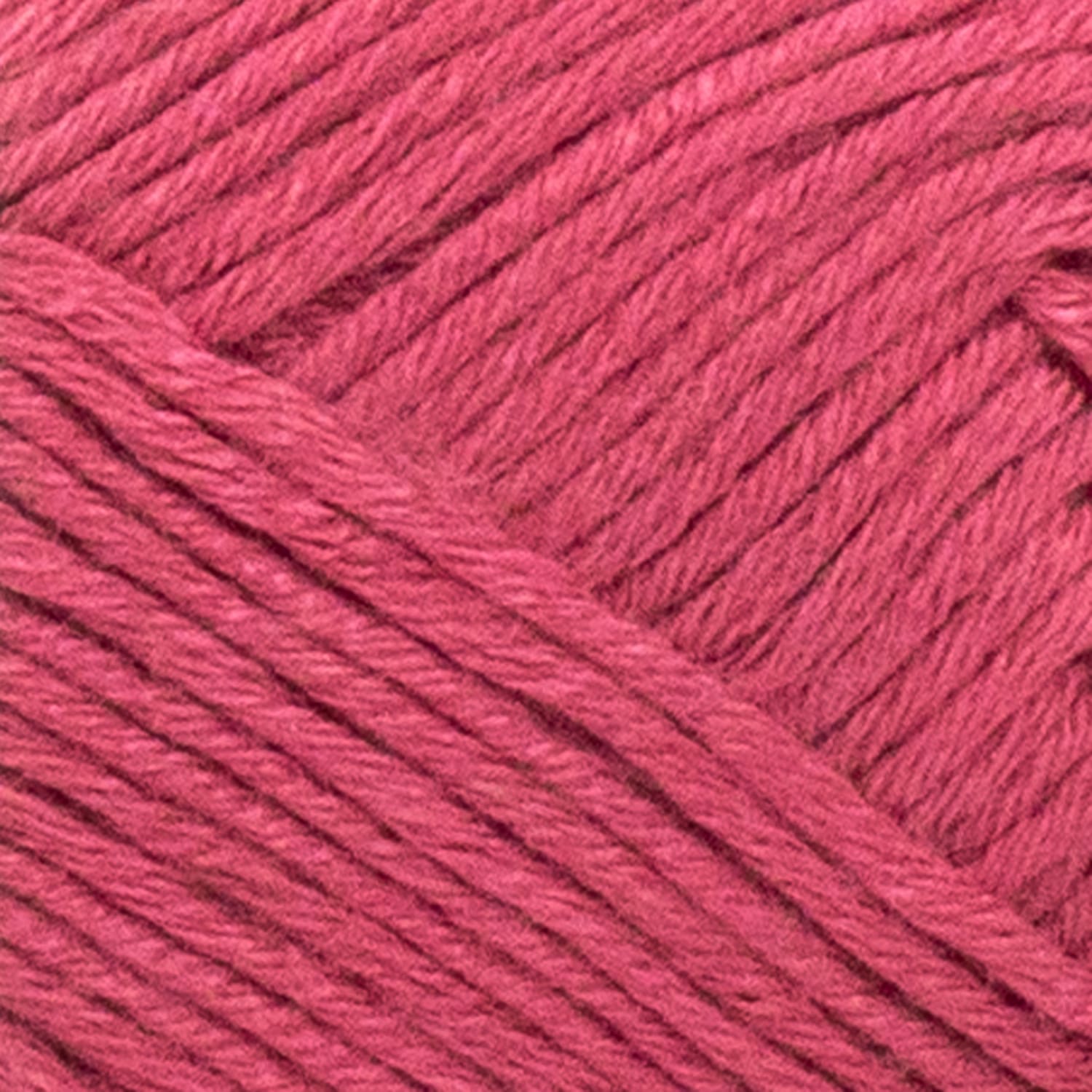 swatch__Rose