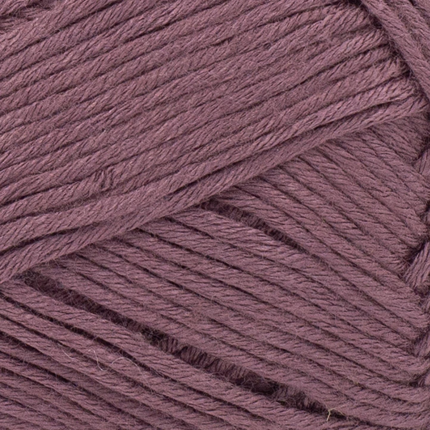 swatch__Raisin