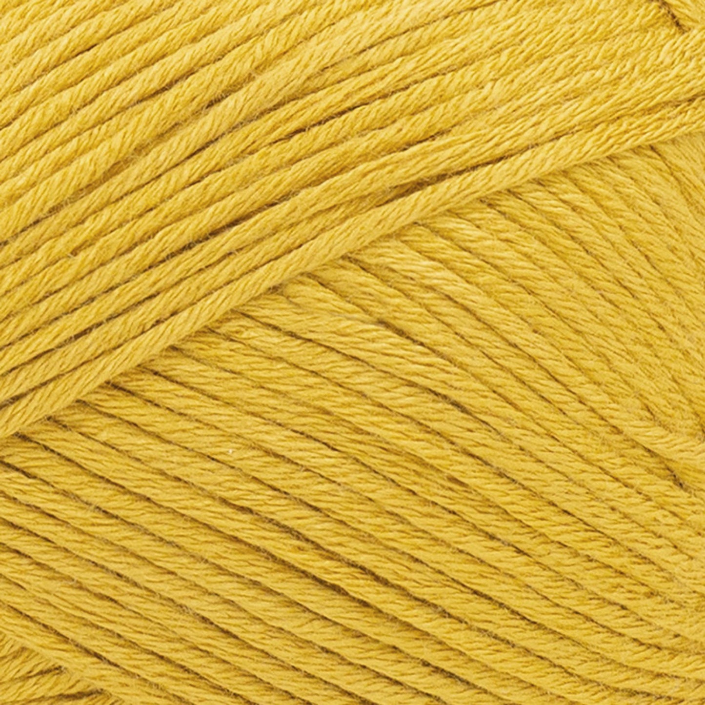 swatch__Maize