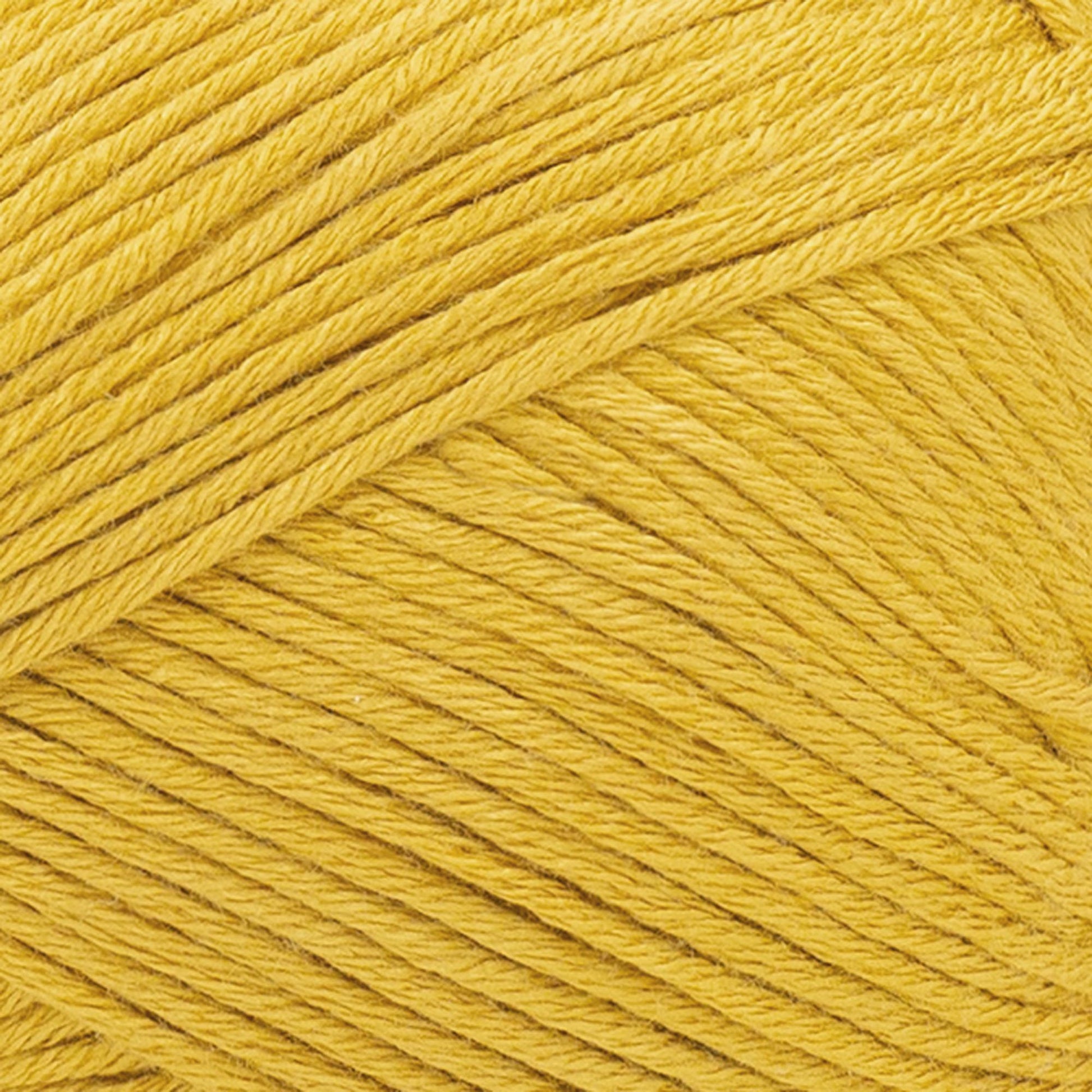 swatch__Maize