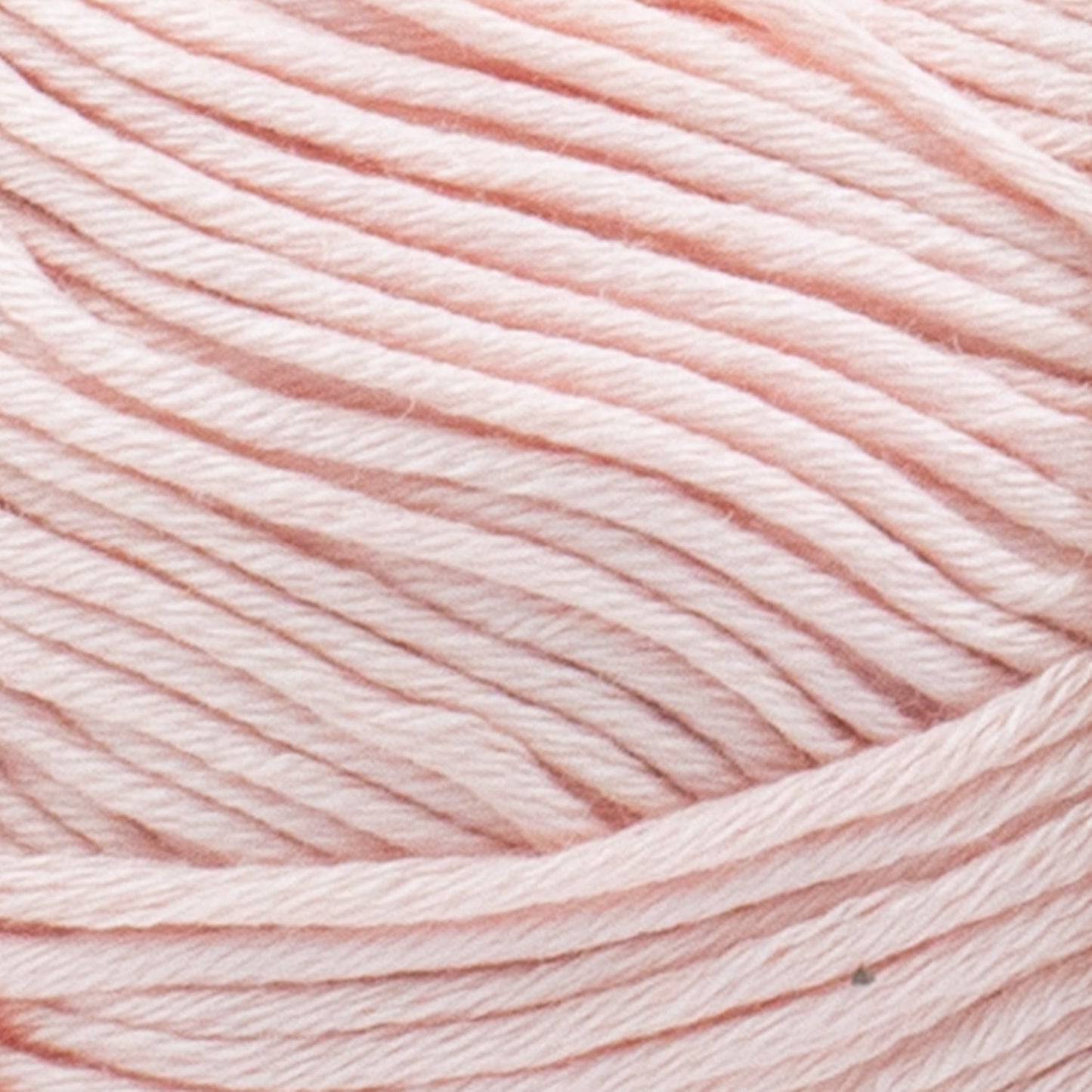 swatch__Blush