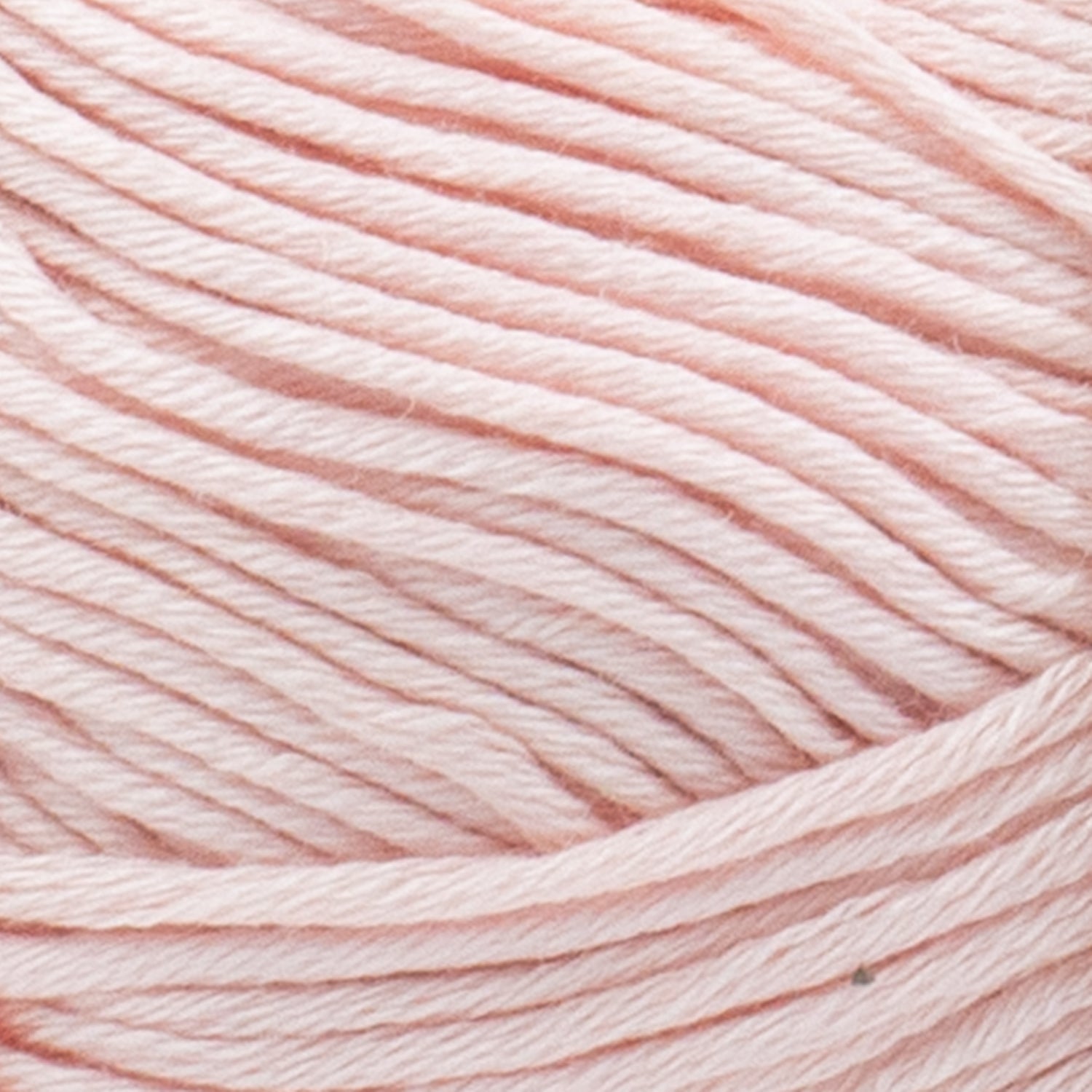 swatch__Blush