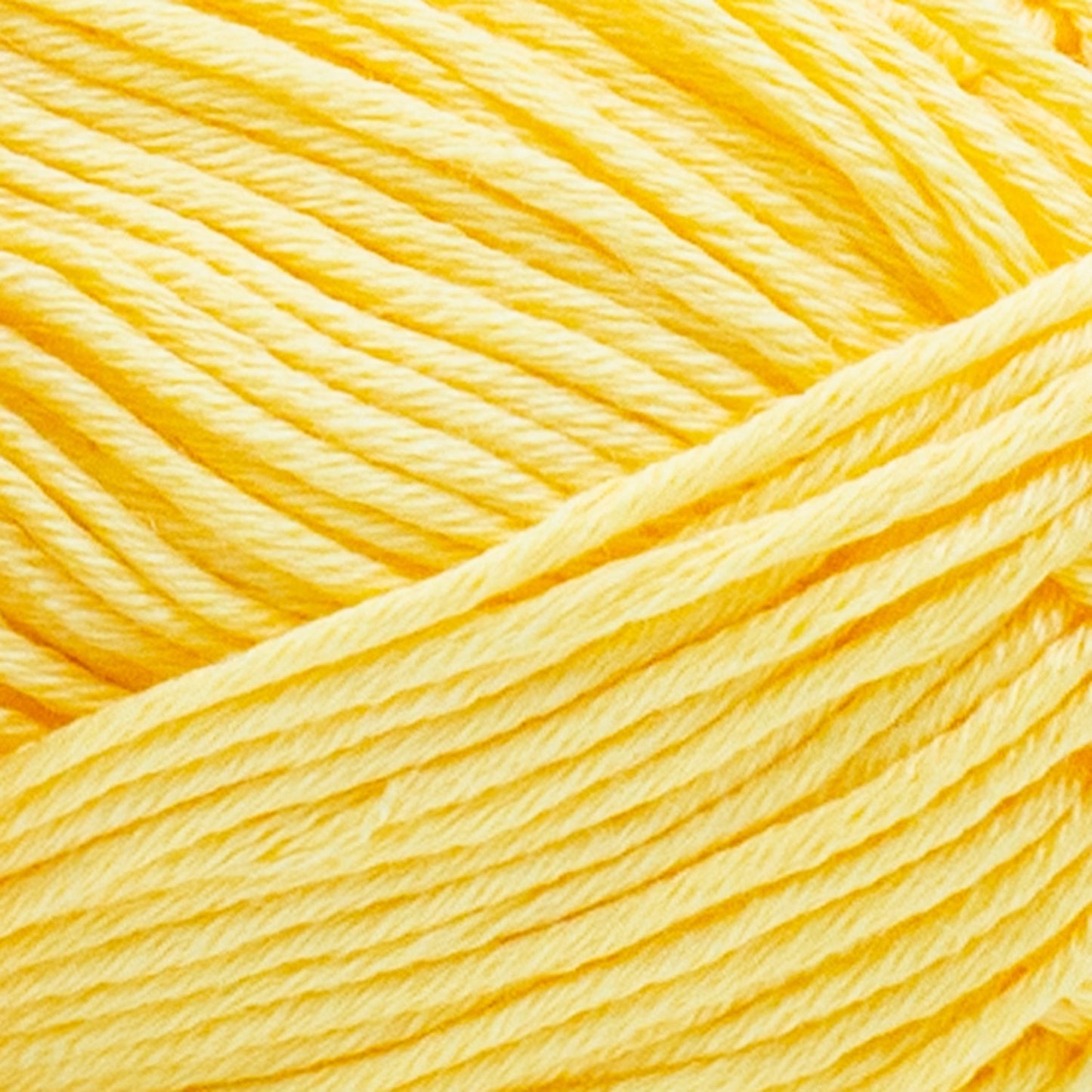 swatch__Daffodil