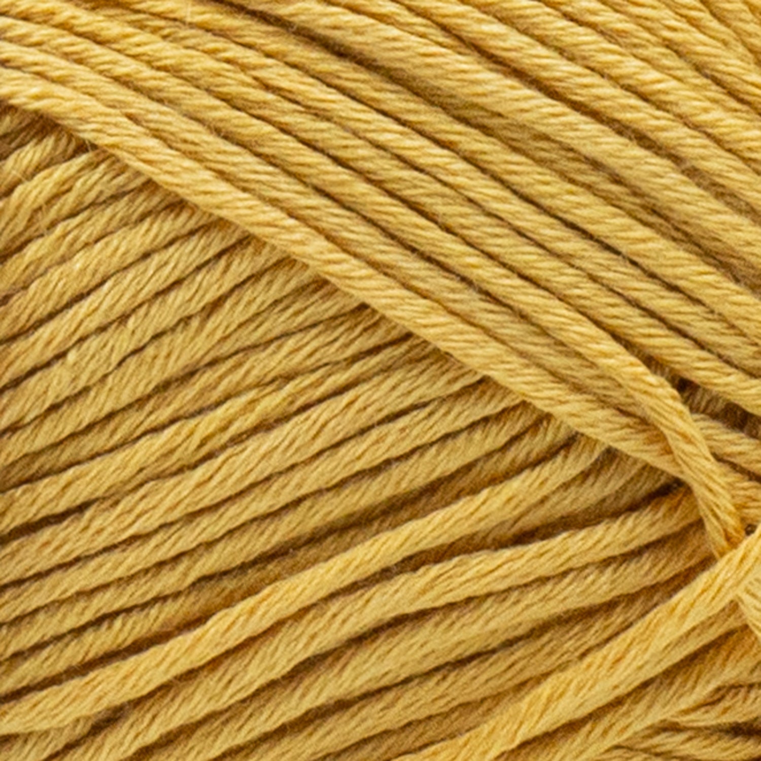 swatch__Goldenrod