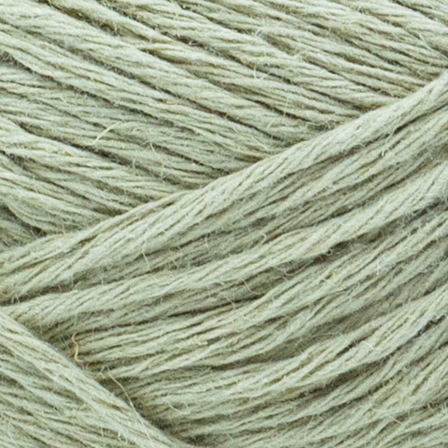 swatch__Reed