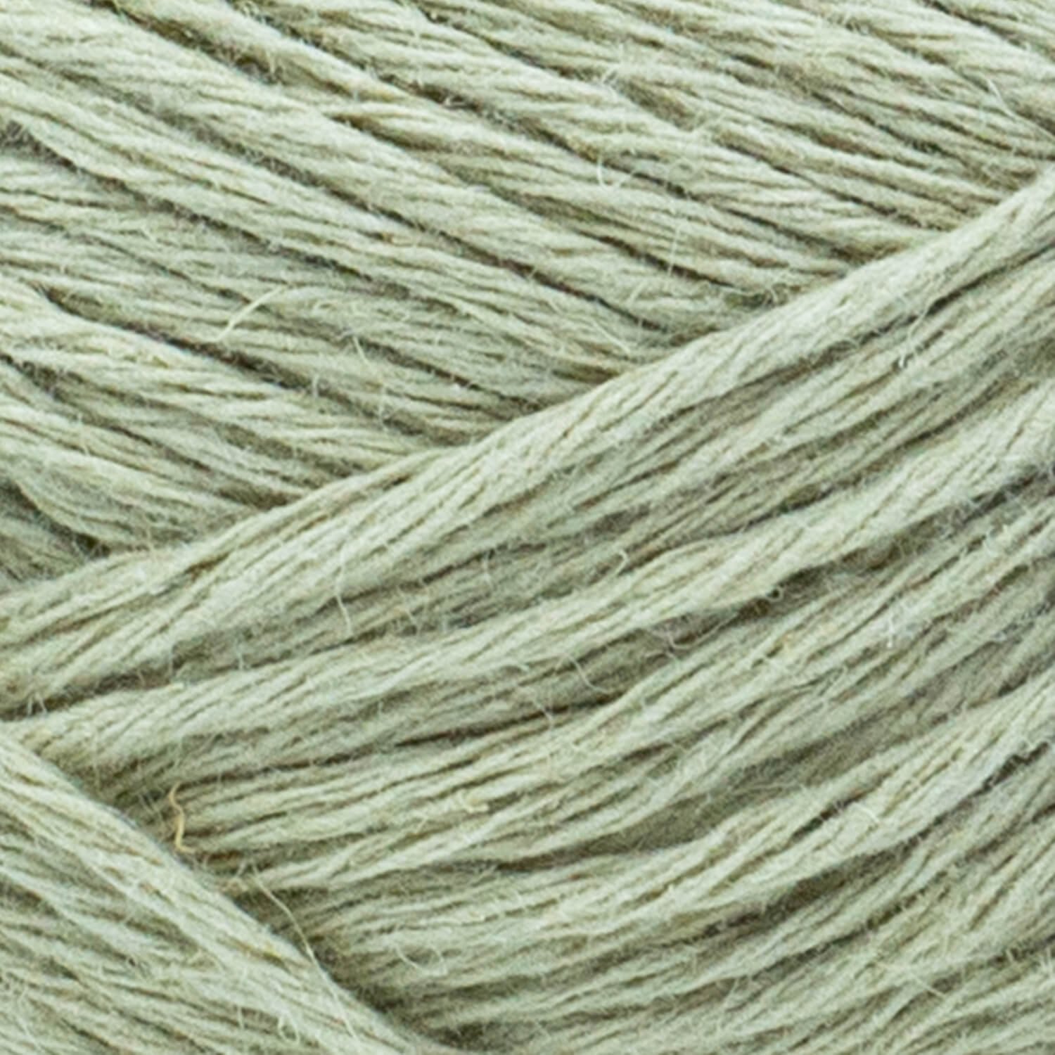 swatch__Reed