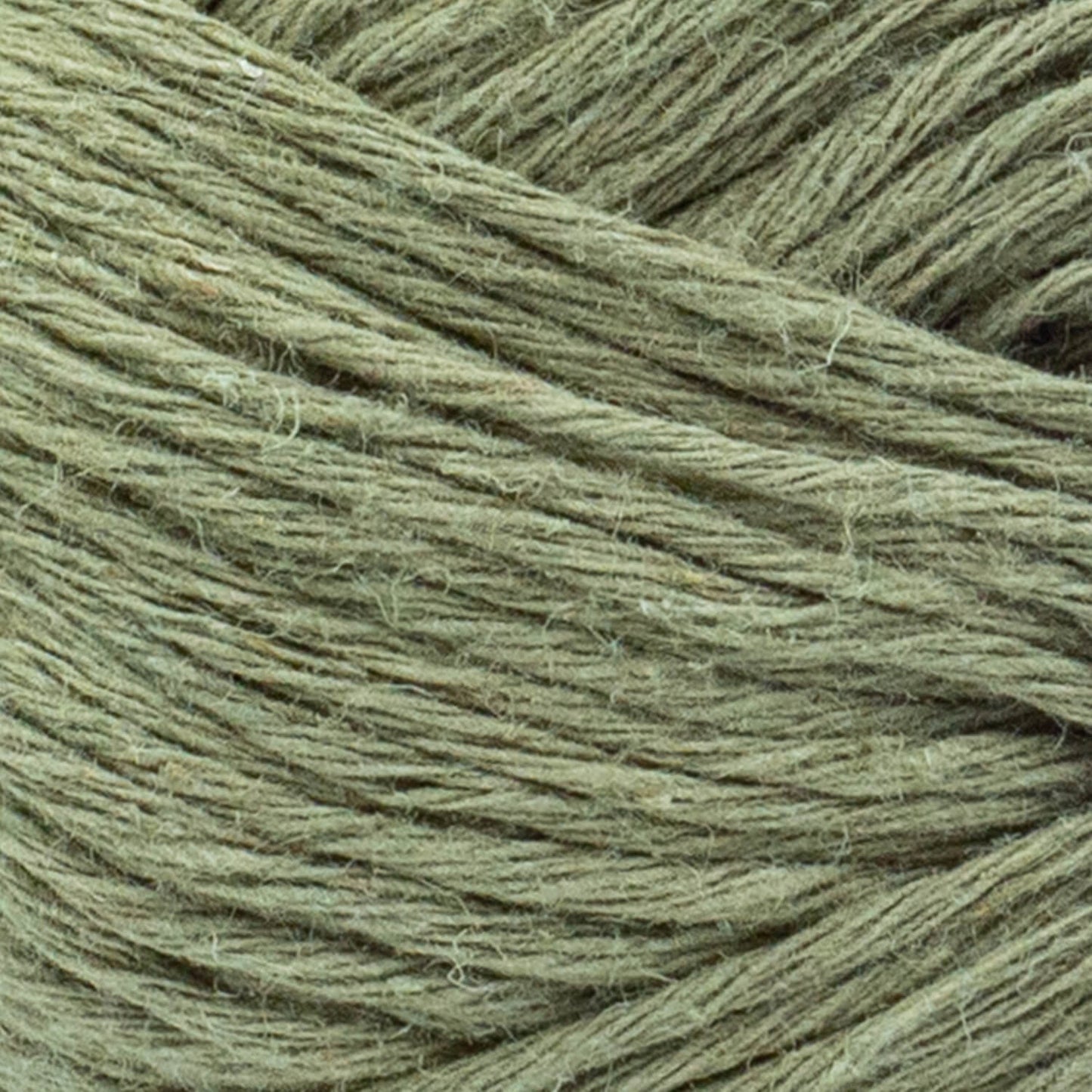 swatch__Moss