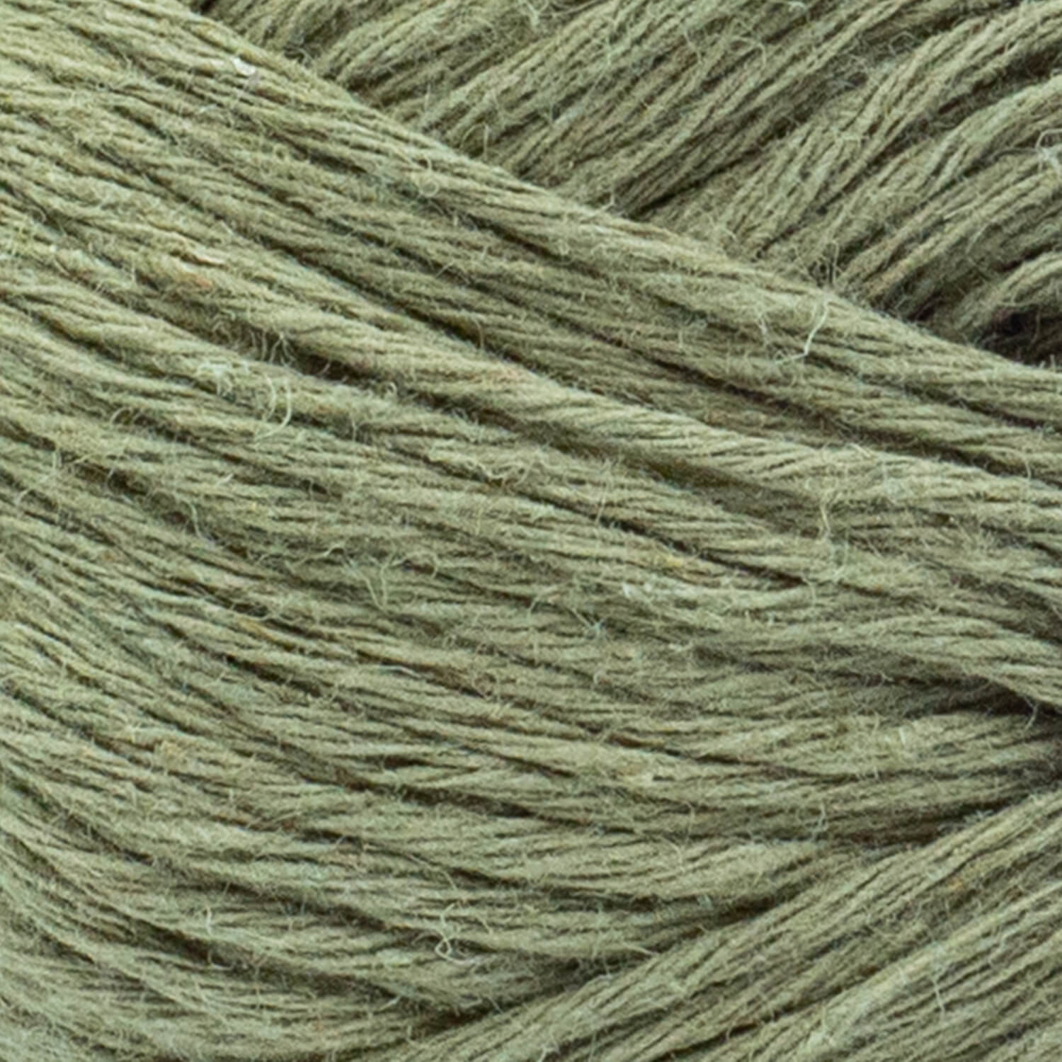 swatch__Moss