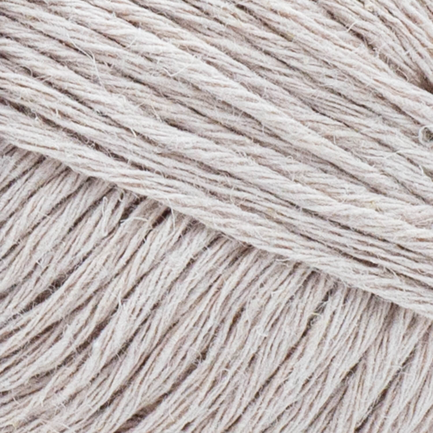 swatch__Primrose
