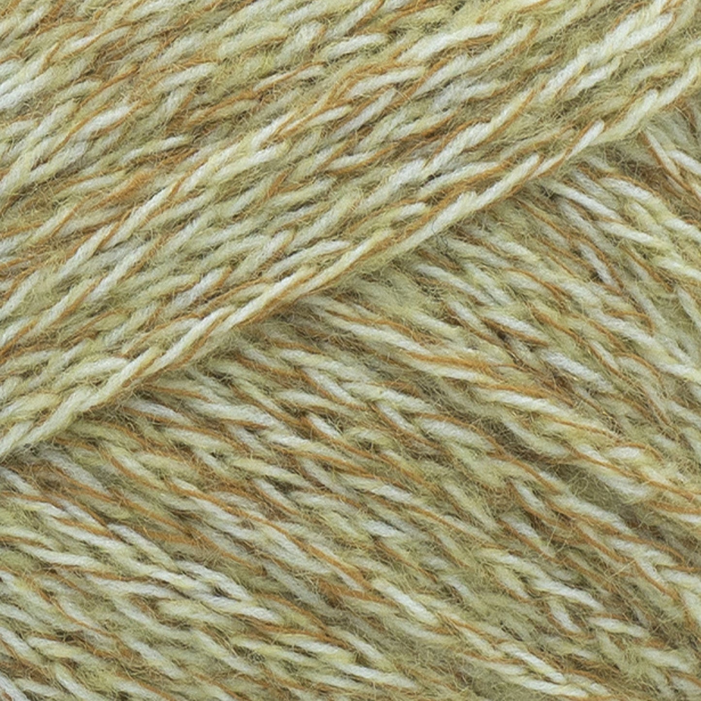 swatch__Oats