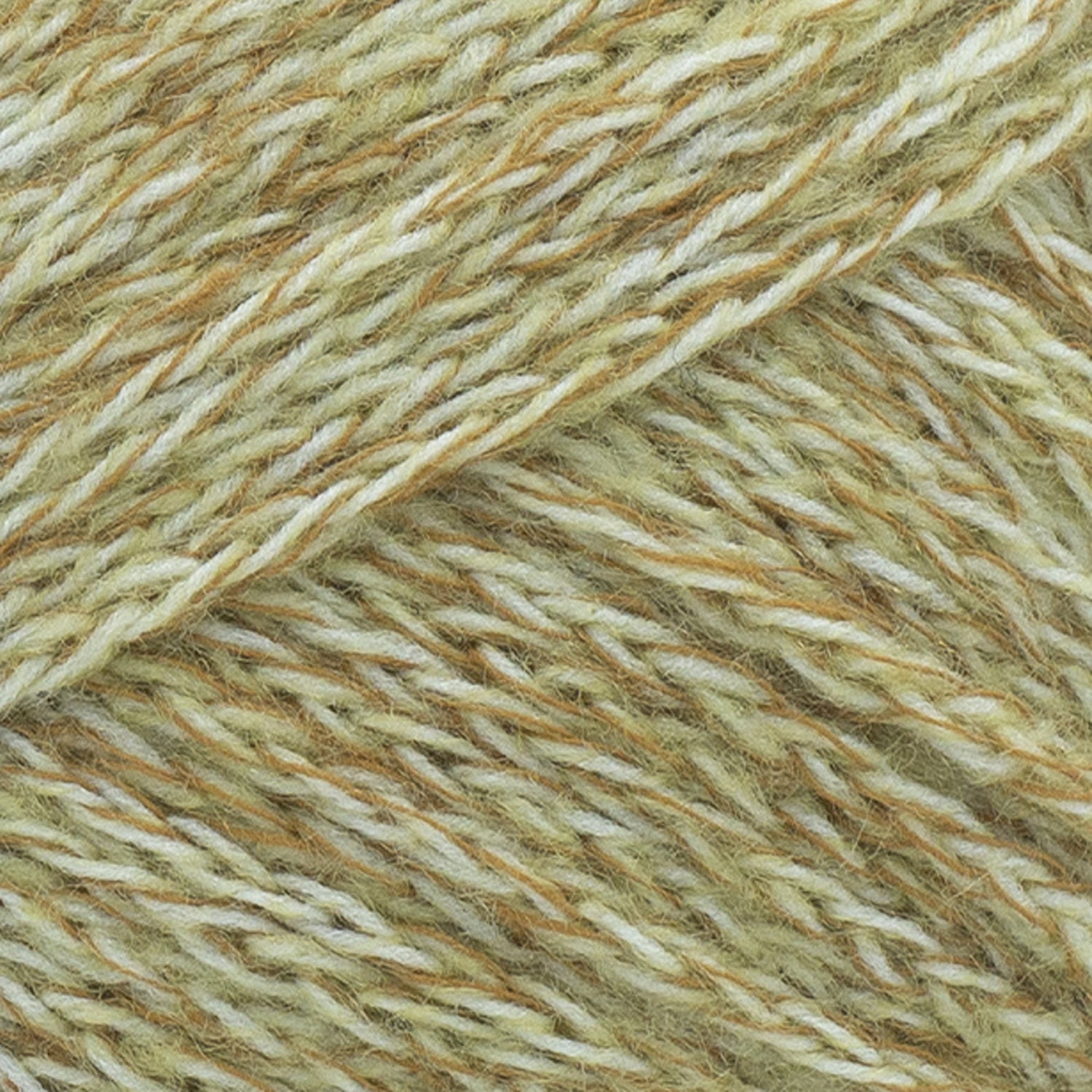 swatch__Oats