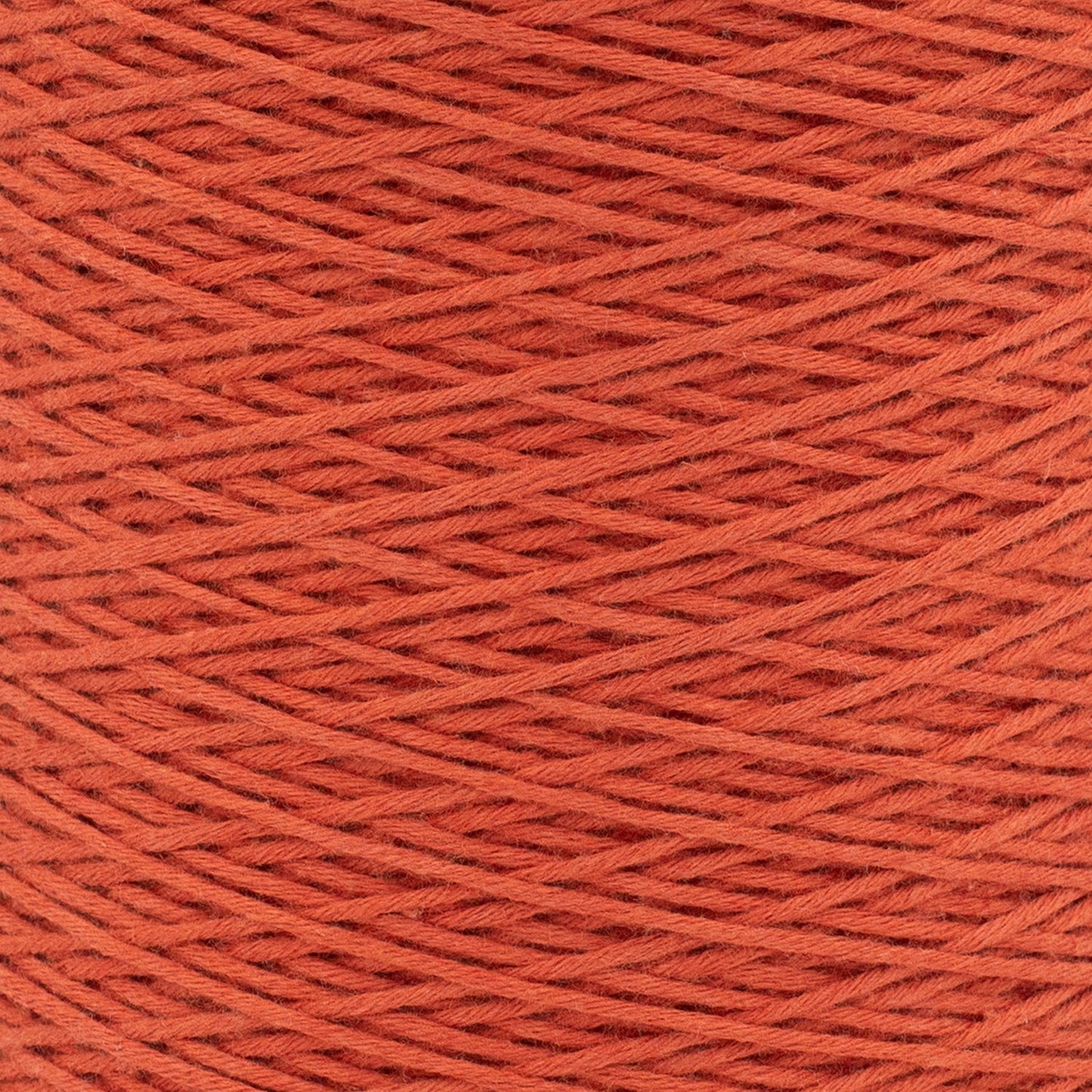 swatch-hidden__Persimmon